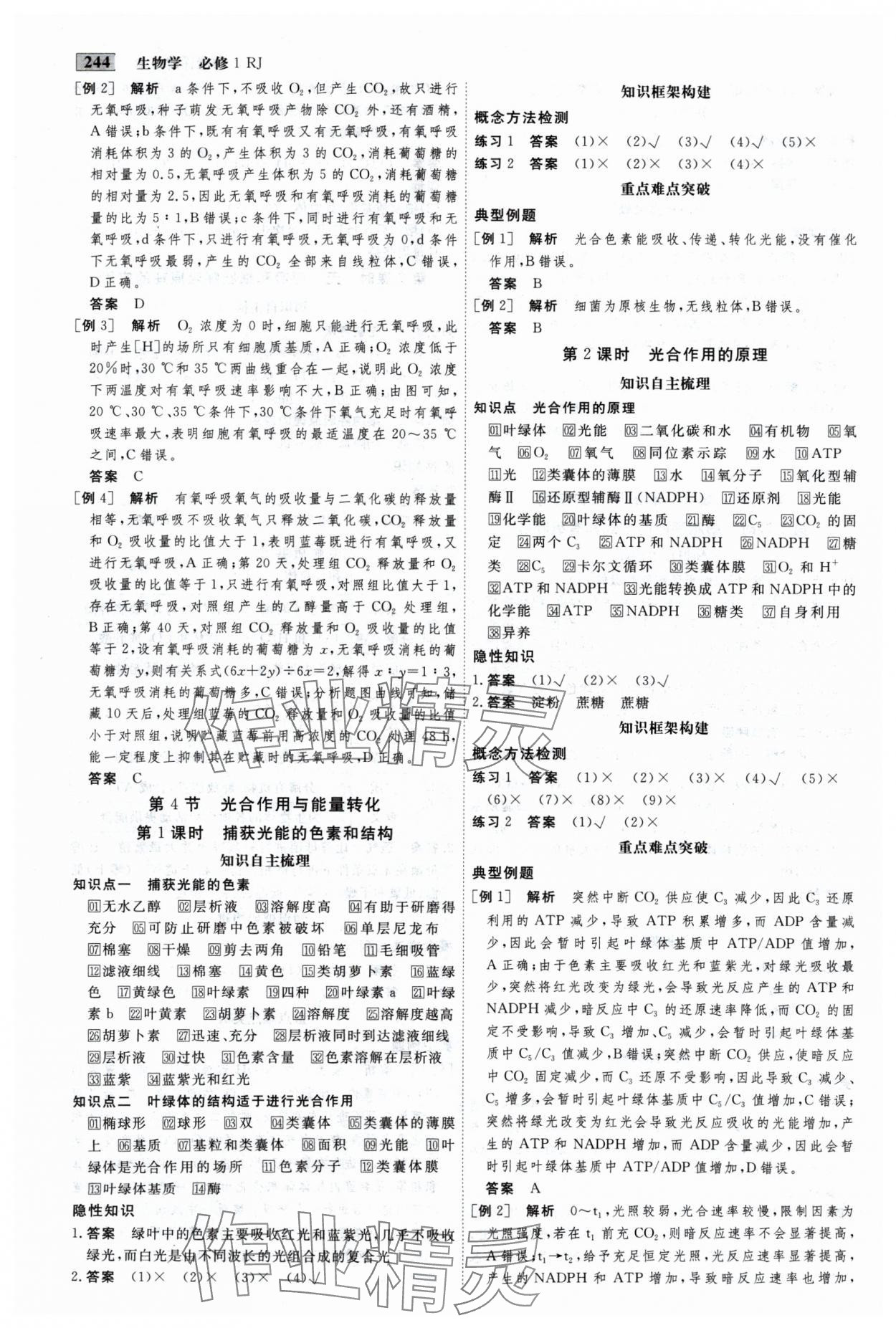 2024年金版教程高中新課程創(chuàng)新導(dǎo)學(xué)案高中生物必修1人教版 參考答案第12頁(yè)