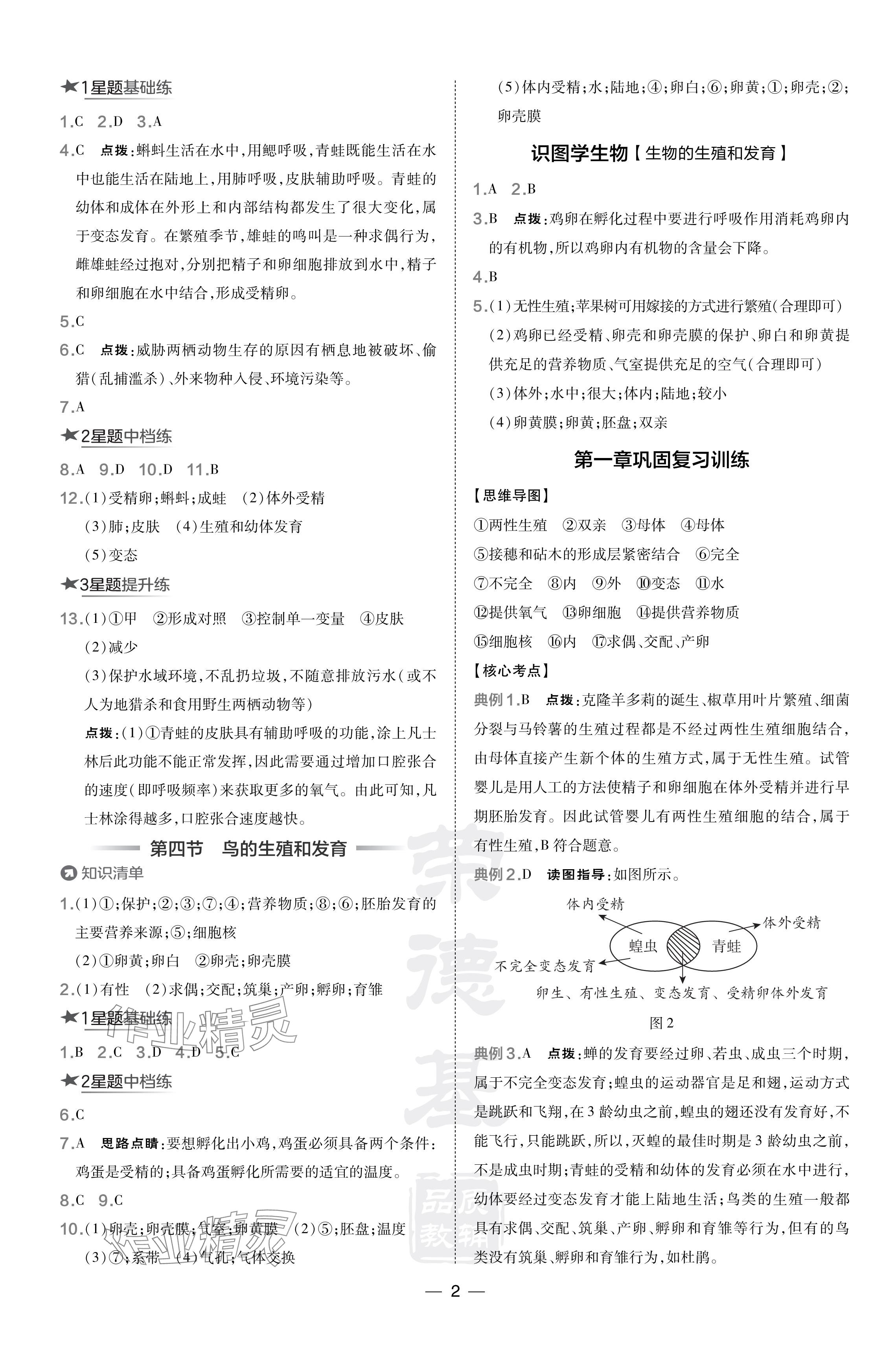 2024年点拨训练八年级生物下册人教版辽宁专版 参考答案第2页