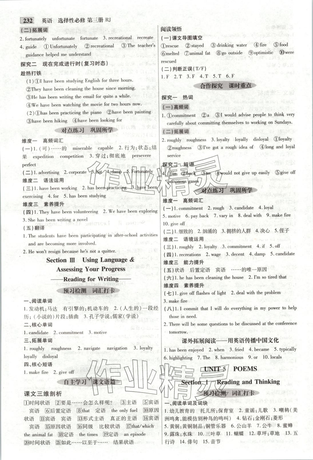 2025年金版教程高中新课程创新导学案高中英语选择性必修第三册人教版 第9页