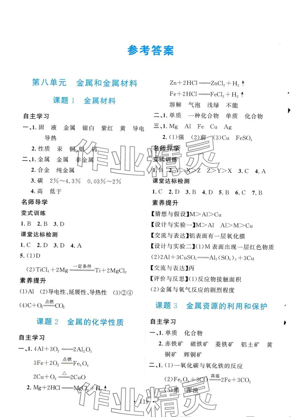 2024年實驗教材新學案九年級化學下冊人教版 第1頁