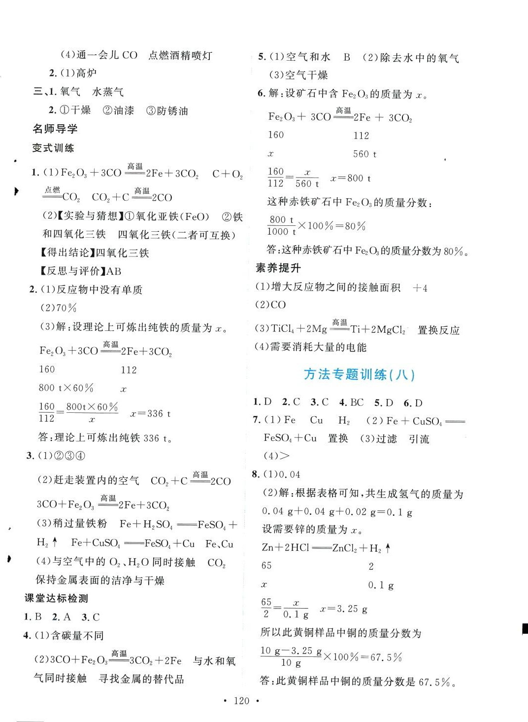 2024年實驗教材新學(xué)案九年級化學(xué)下冊人教版 第2頁