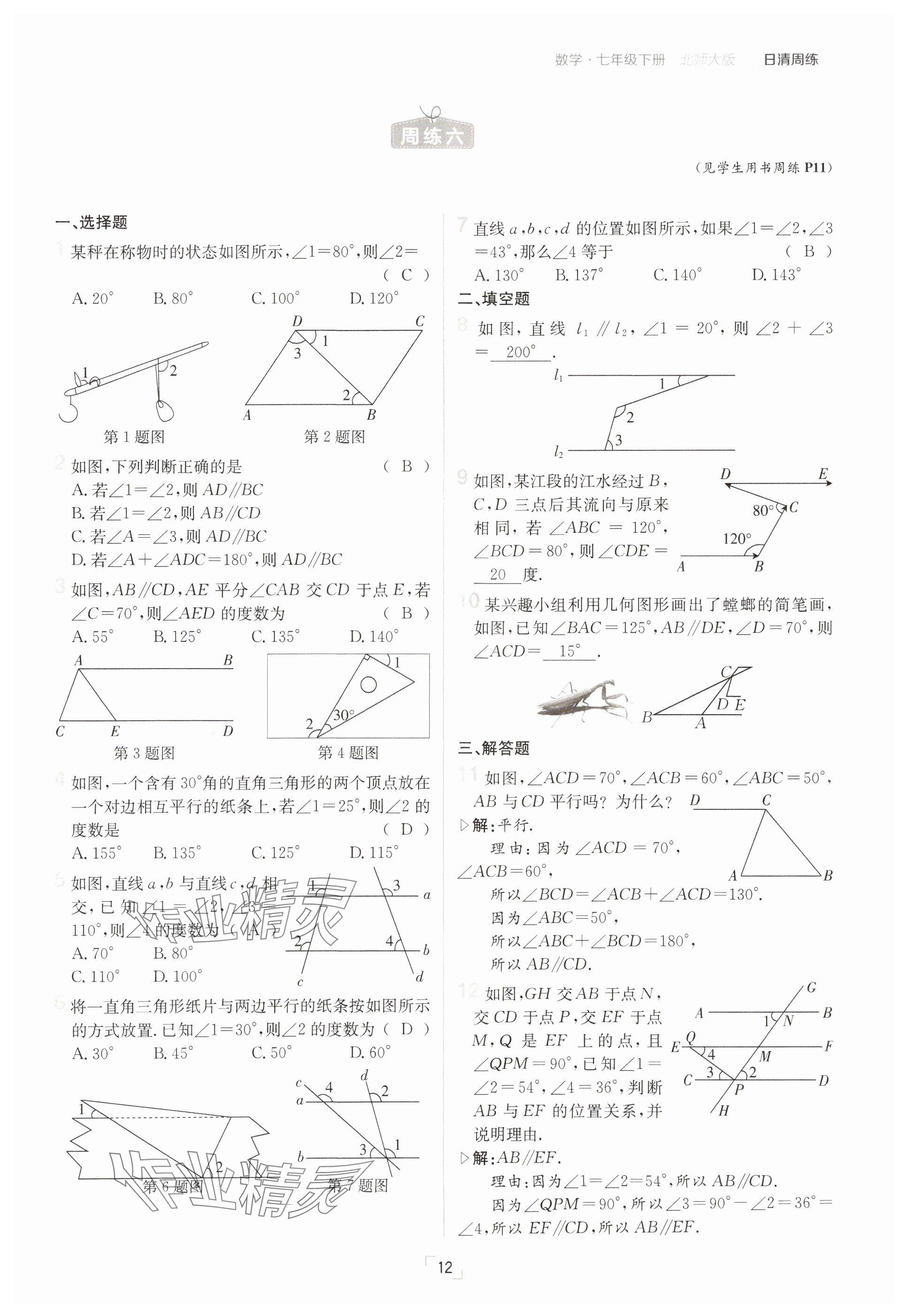 2025年日清周練七年級(jí)數(shù)學(xué)下冊(cè)北師大版 參考答案第12頁(yè)
