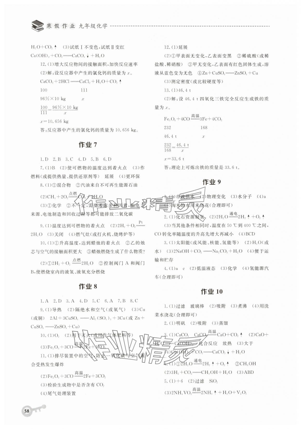 2025年寒假作业华中科技大学出版社九年级化学 第2页