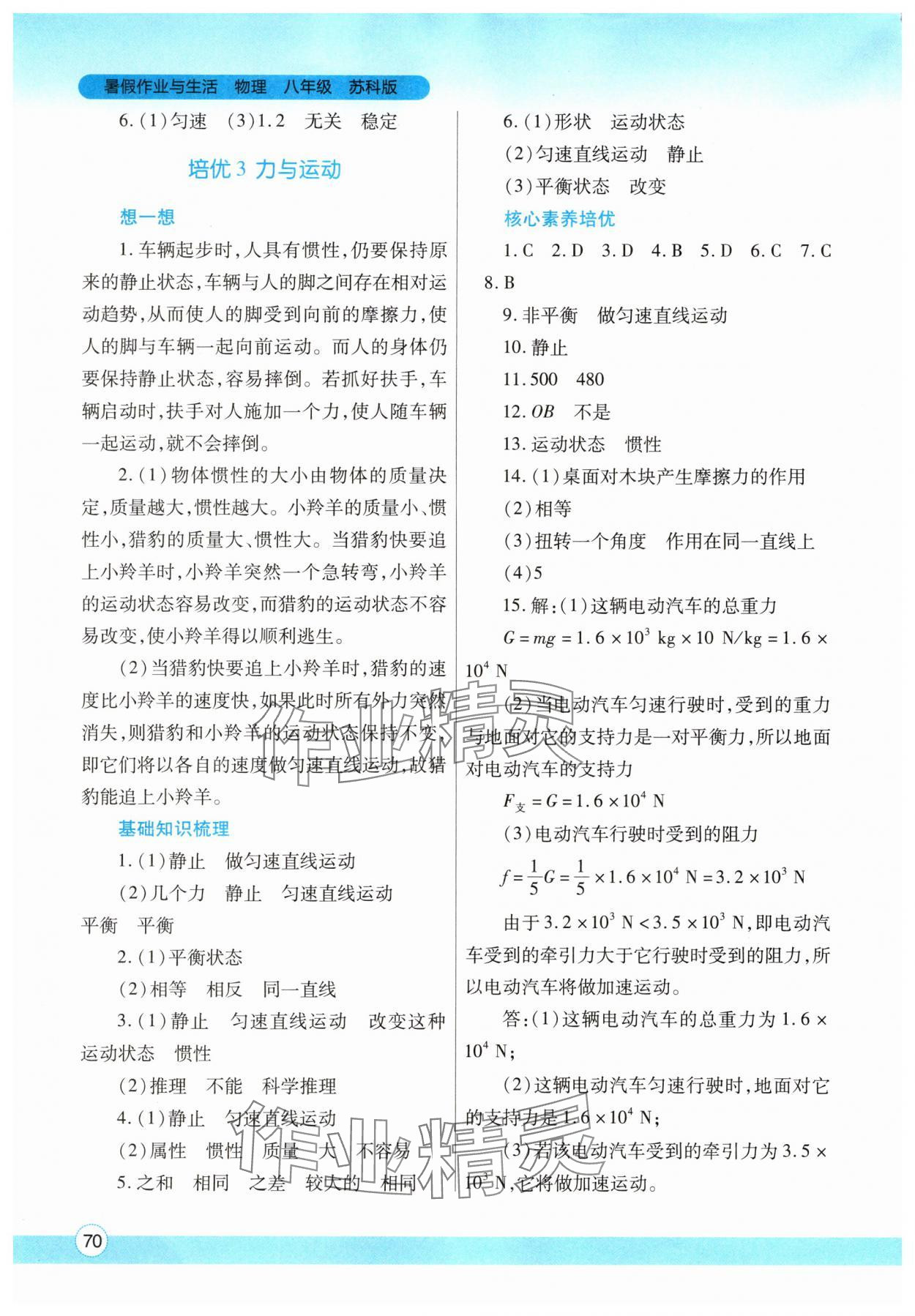 2025年暑假作業(yè)與生活陜西師范大學(xué)出版總社有限公司八年級物理蘇科版 參考答案第3頁