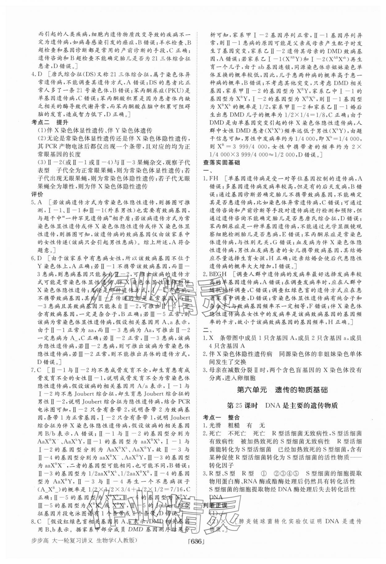 2025年步步高大一輪復習講義高中生物 第28頁