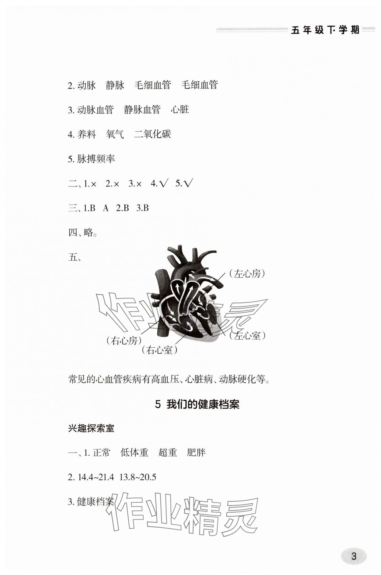 2025年新課堂同步學習與探究五年級科學下冊人教版 參考答案第3頁