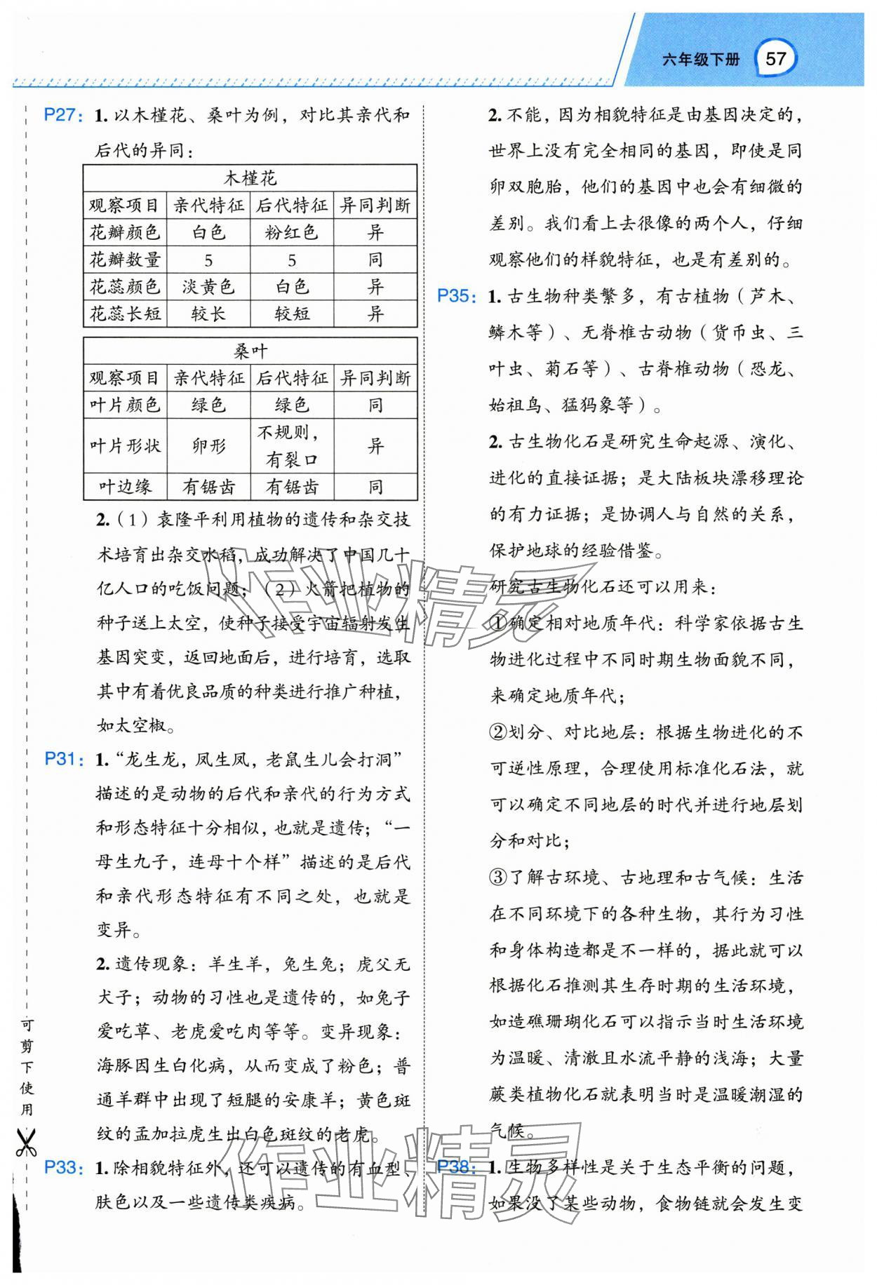 2025年名師面對面先學(xué)后練六年級科學(xué)下冊教科版 參考答案第2頁