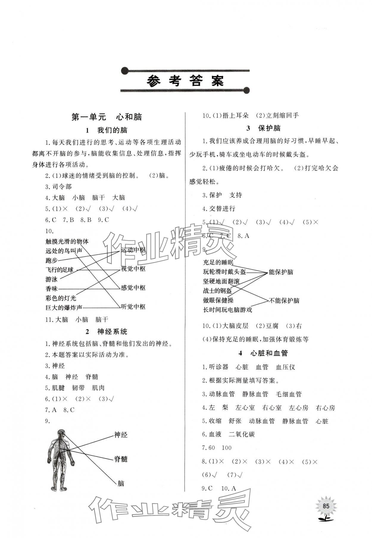 2024年同步练习山东文艺出版社五年级科学下册青岛版 第1页