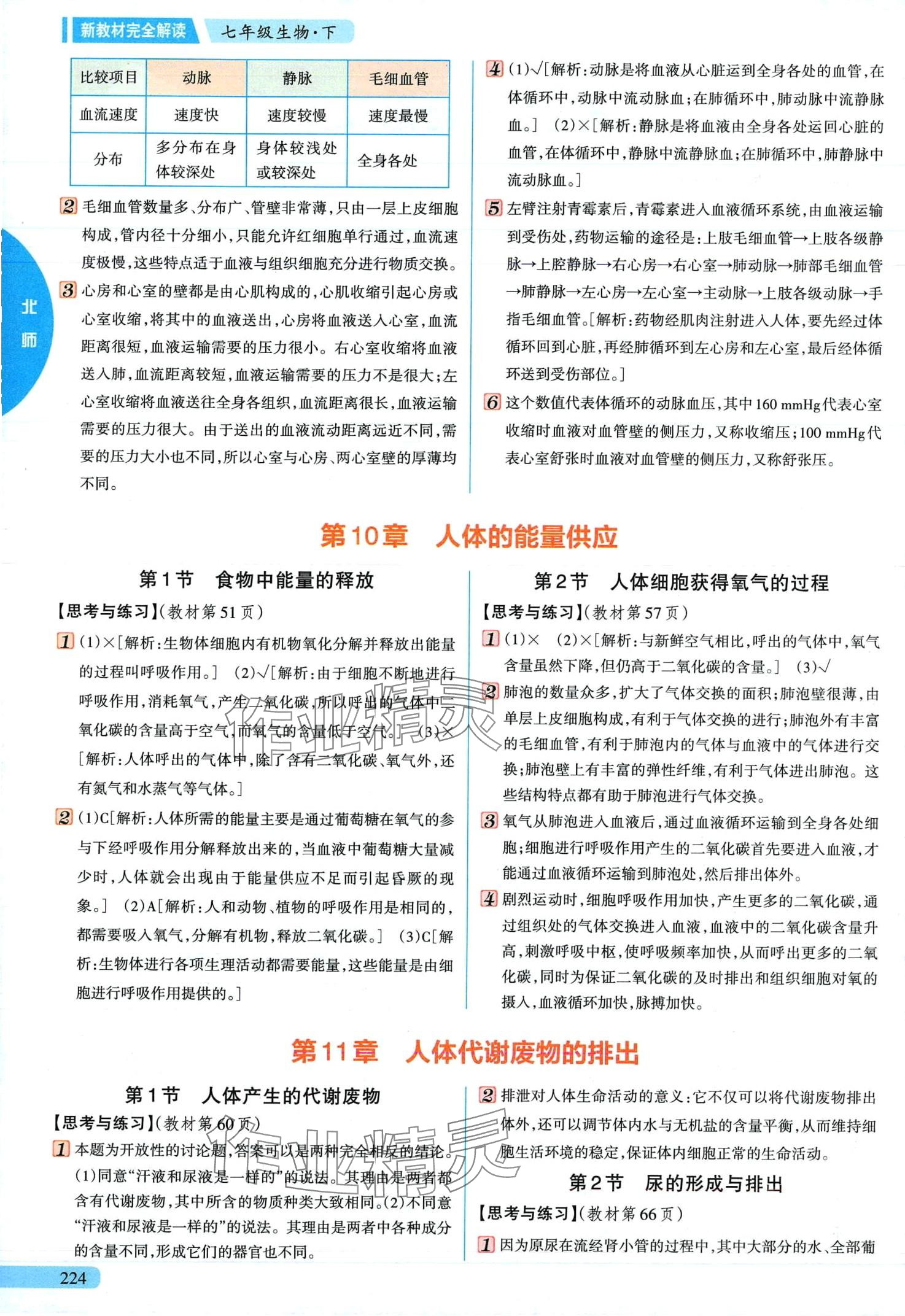 2024年教材课本七年级生物下册北师大版 第2页