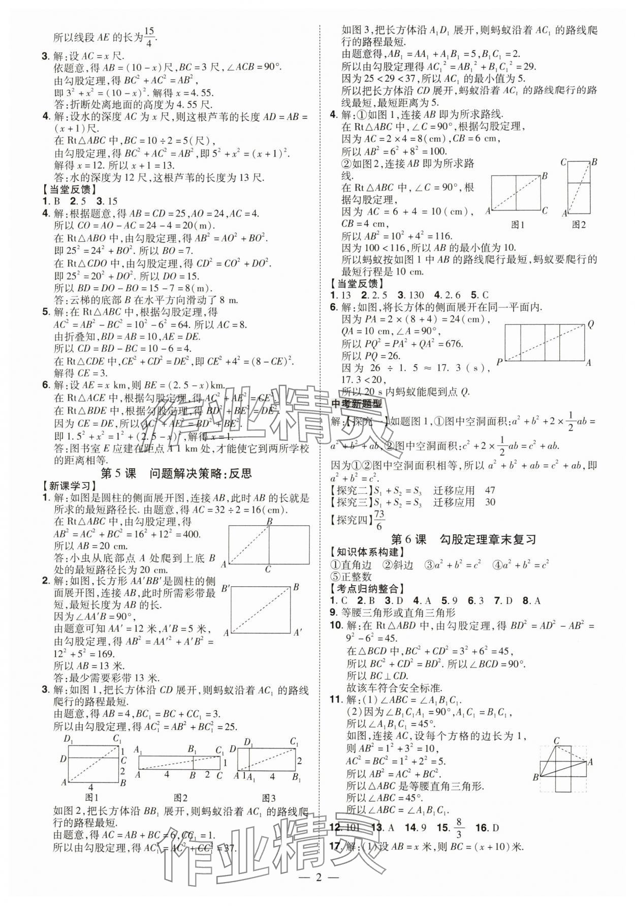 2025年同步冲刺八年级数学上册北师大版 第2页