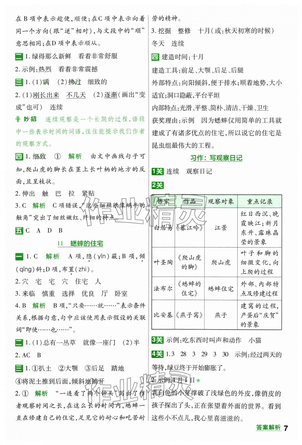 2024年一遍過(guò)四年級(jí)語(yǔ)文上冊(cè)人教版 參考答案第7頁(yè)