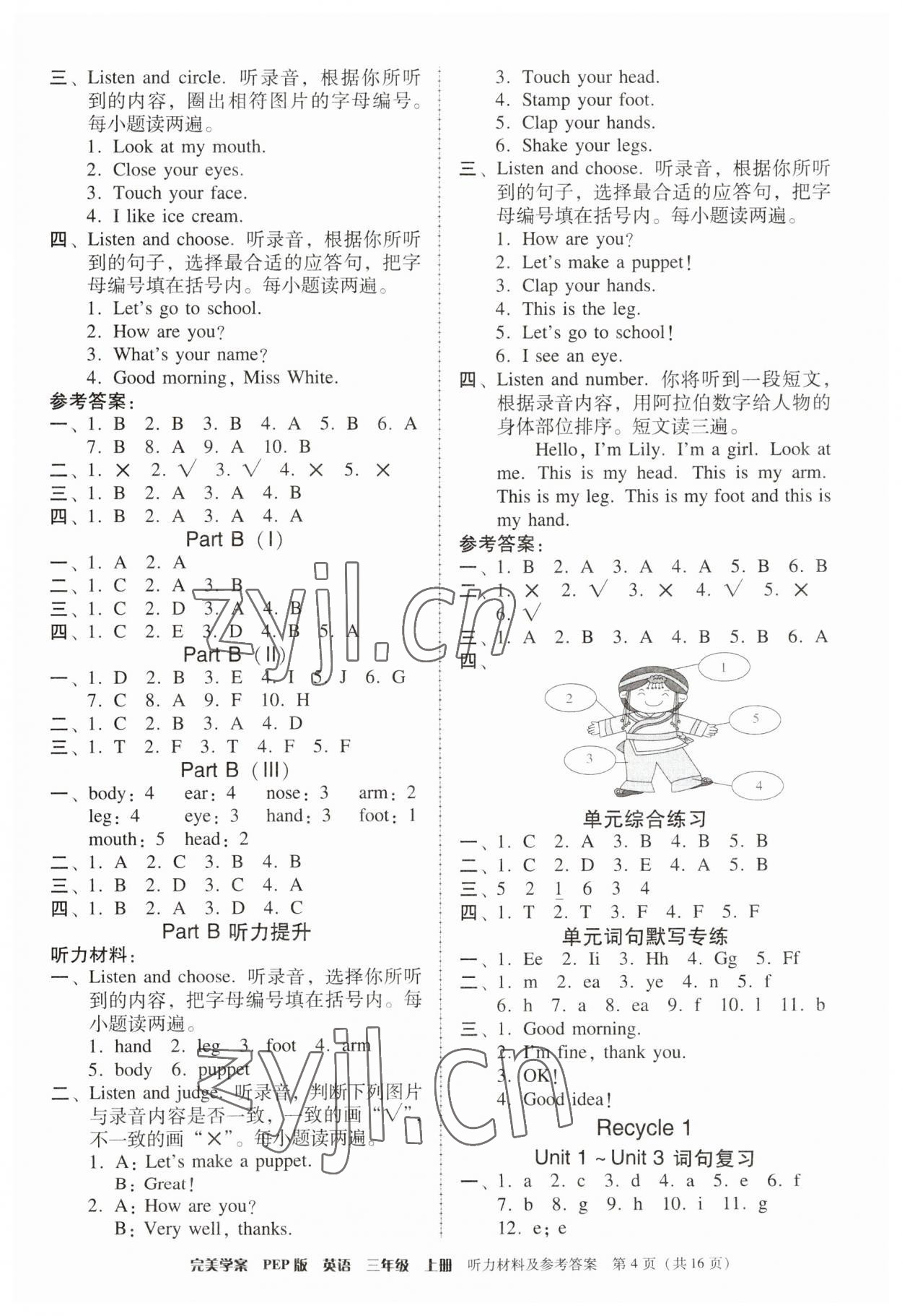 2023年完美学案三年级英语上册人教版 第4页