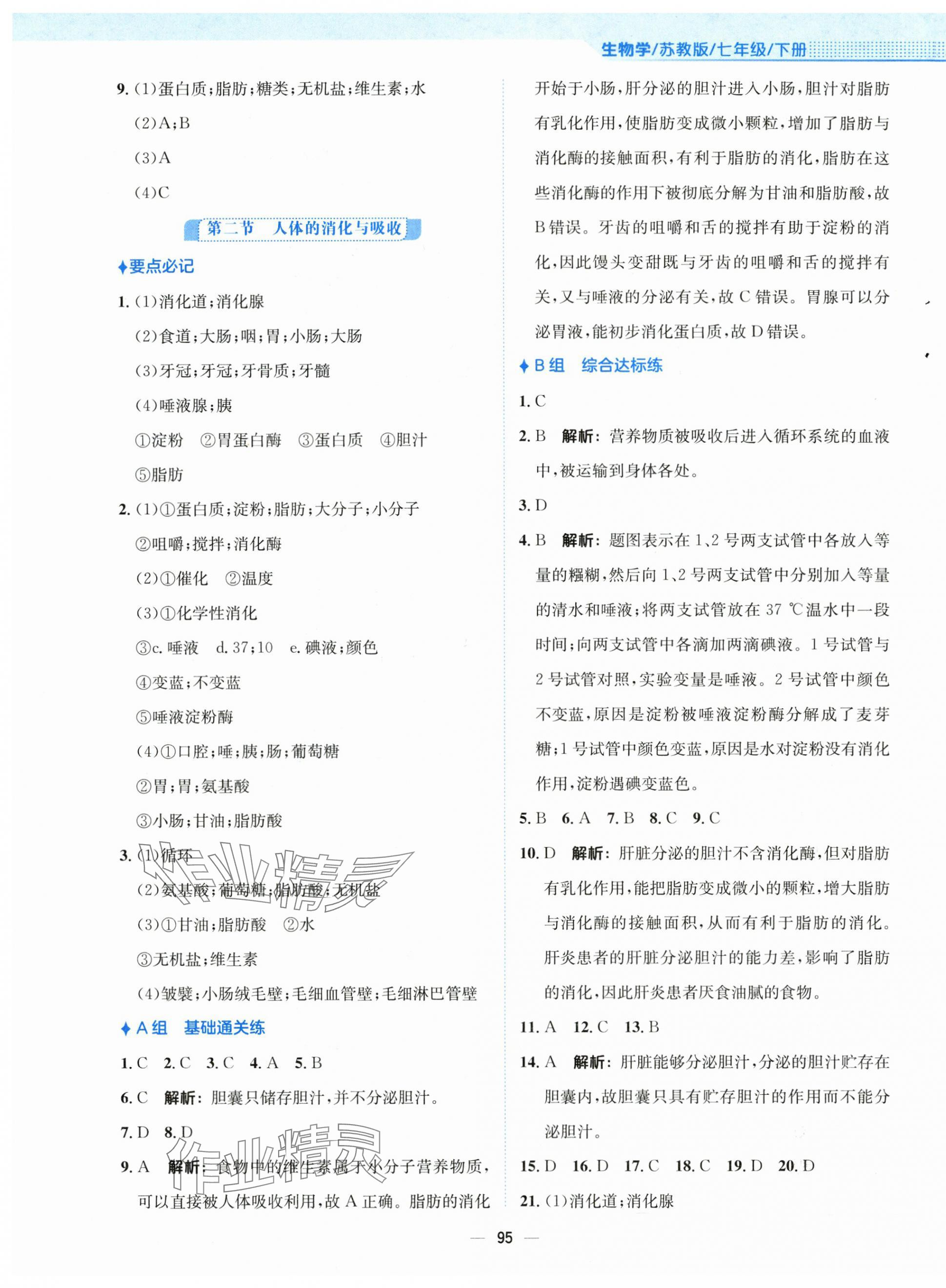 2024年新編基礎(chǔ)訓(xùn)練七年級生物下冊蘇教版 參考答案第3頁