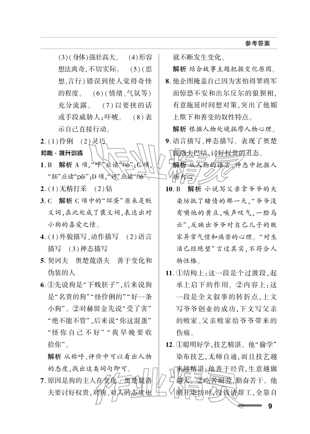 2026年配套综合练习甘肃九年级语文下册人教版&nbsp;参考答案第9页