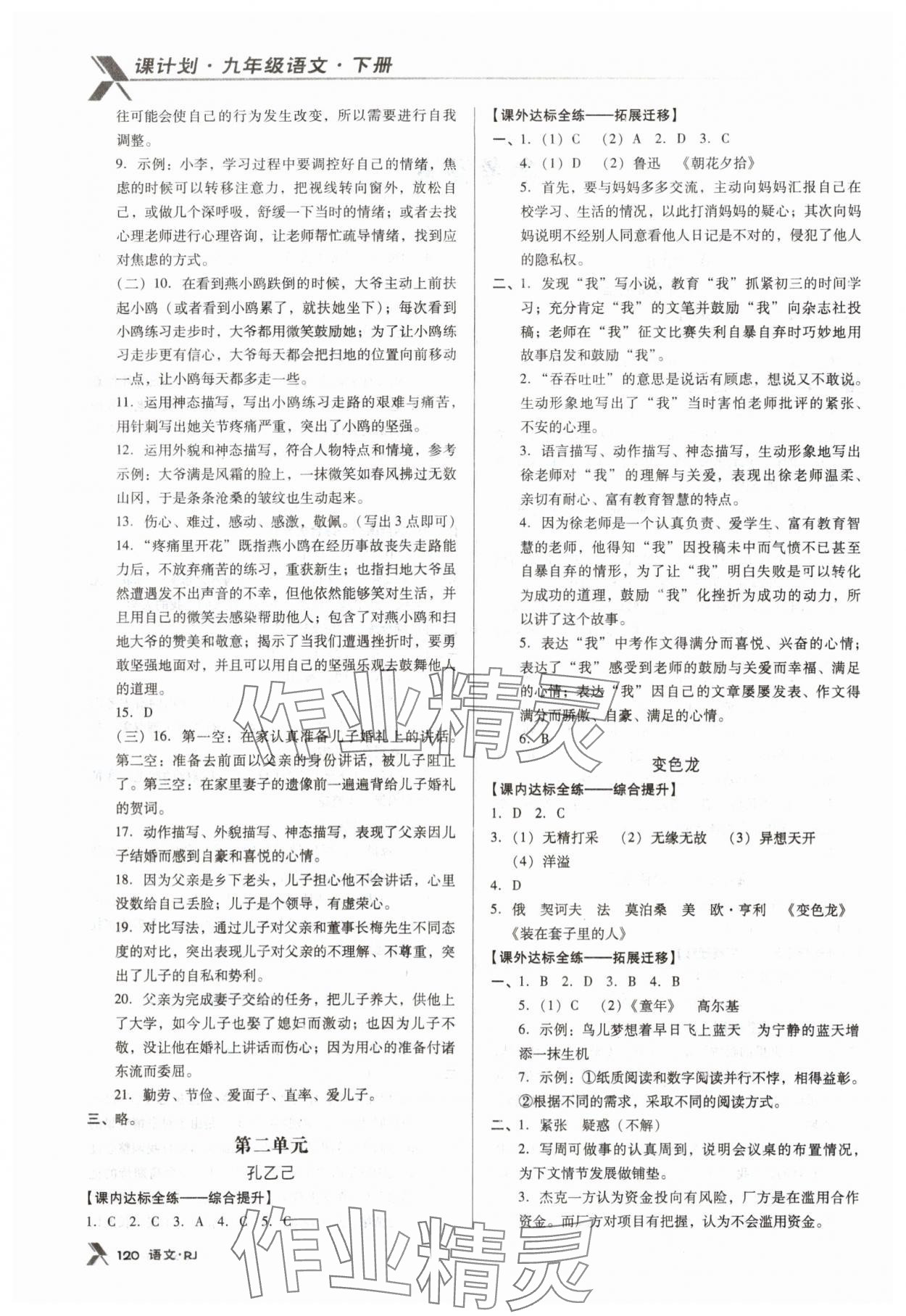 2024年全優(yōu)點練課計劃九年級語文下冊人教版 第2頁