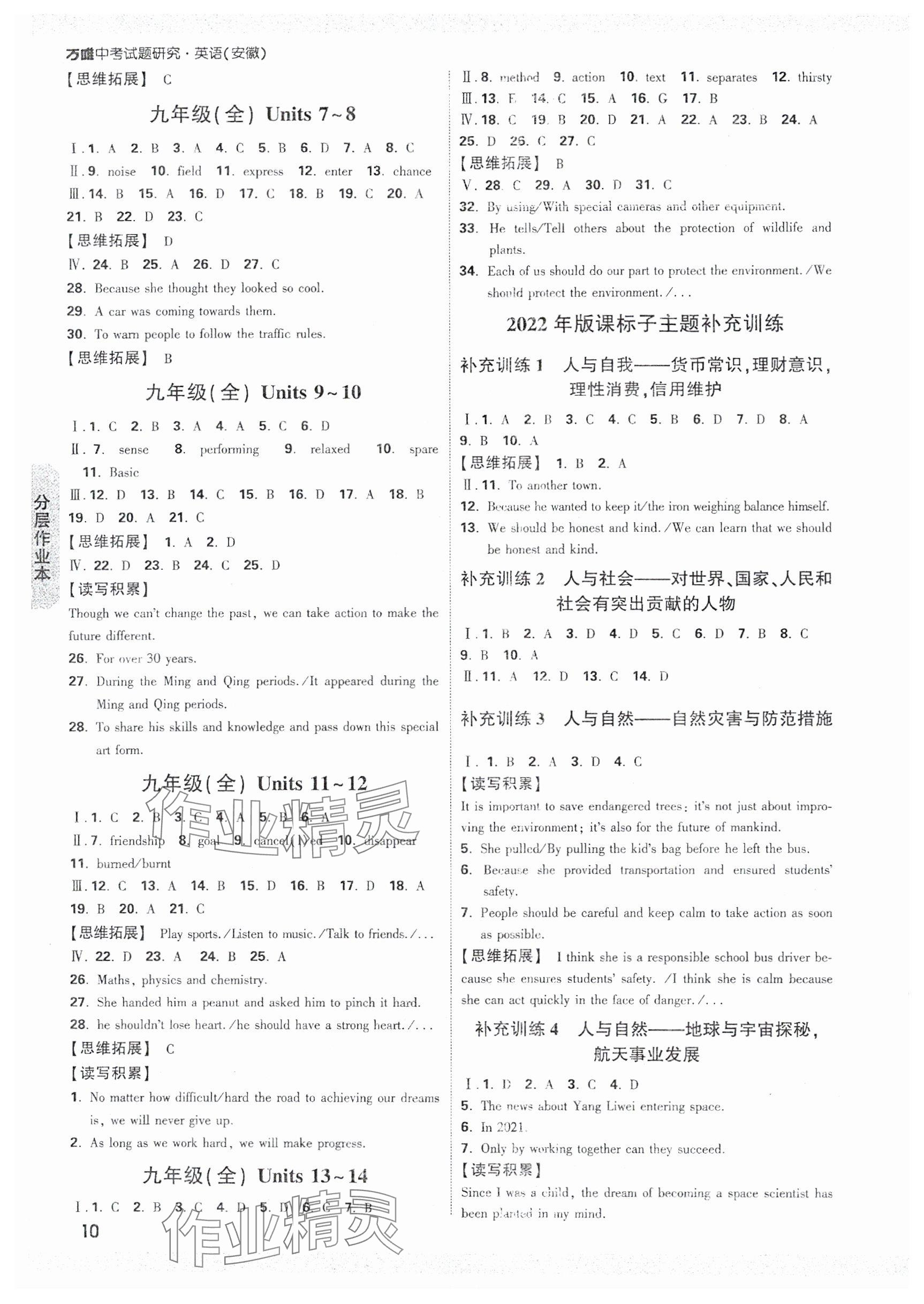 2025年万唯中考试题研究九年级英语安徽专版 第10页