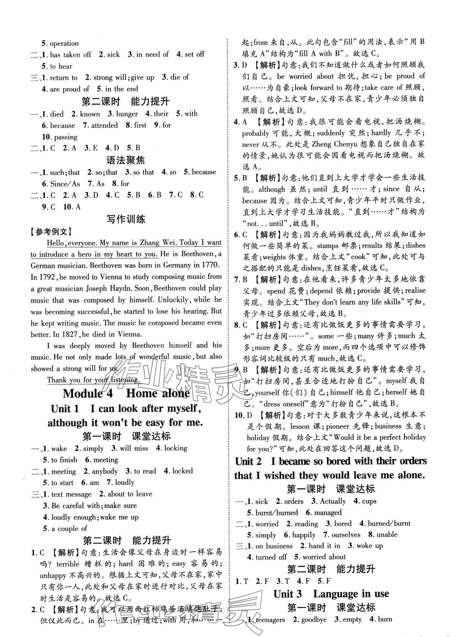 2024年隨堂小練九年級(jí)英語全一冊(cè)外研版 第4頁