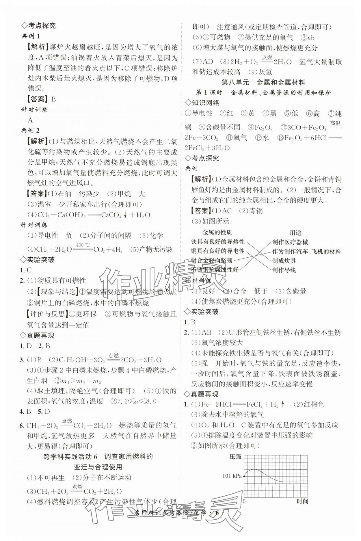 2025年名師特訓化學安徽專版 第6頁