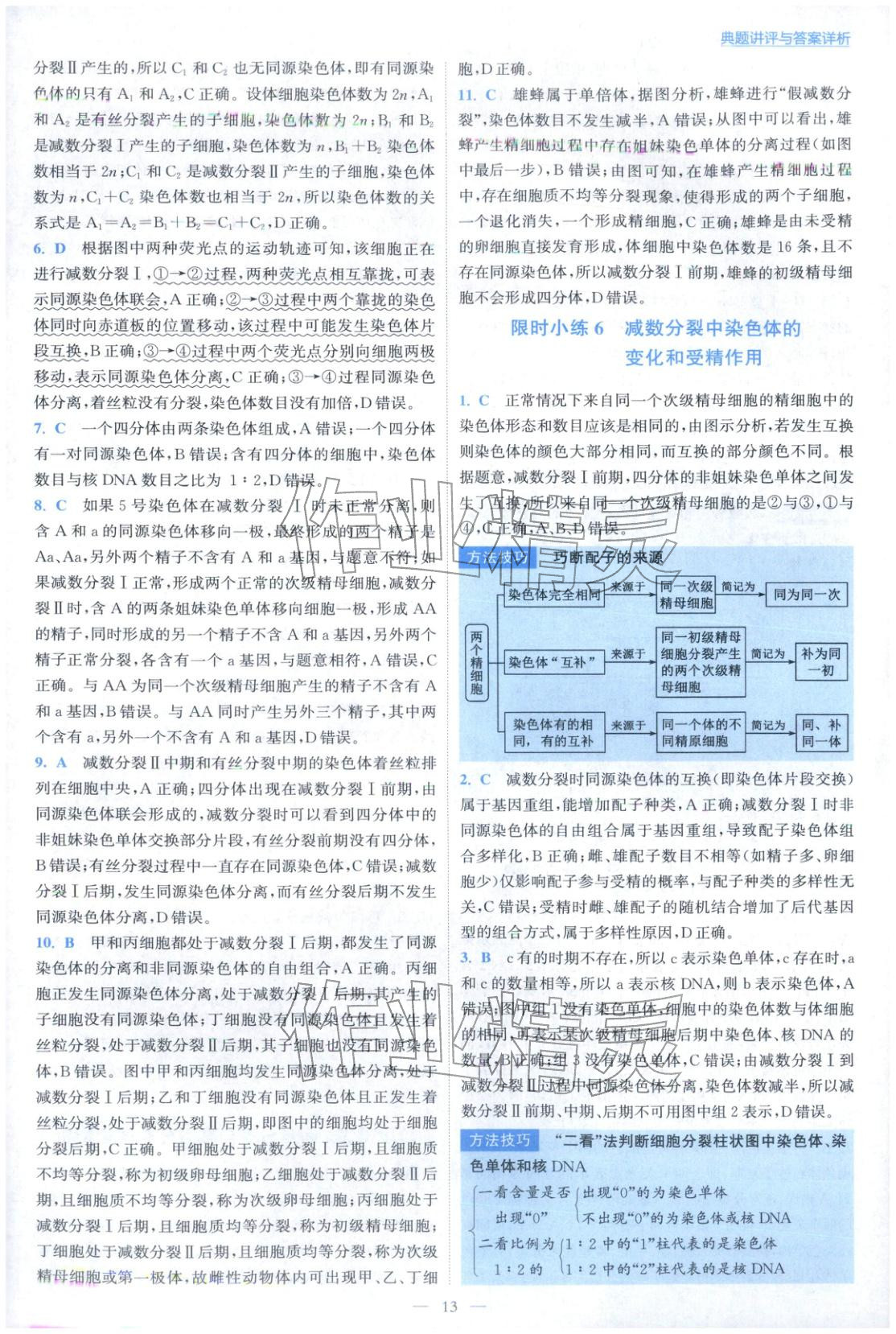 2025年小题狂做高中生物必修第二册人教版 第13页