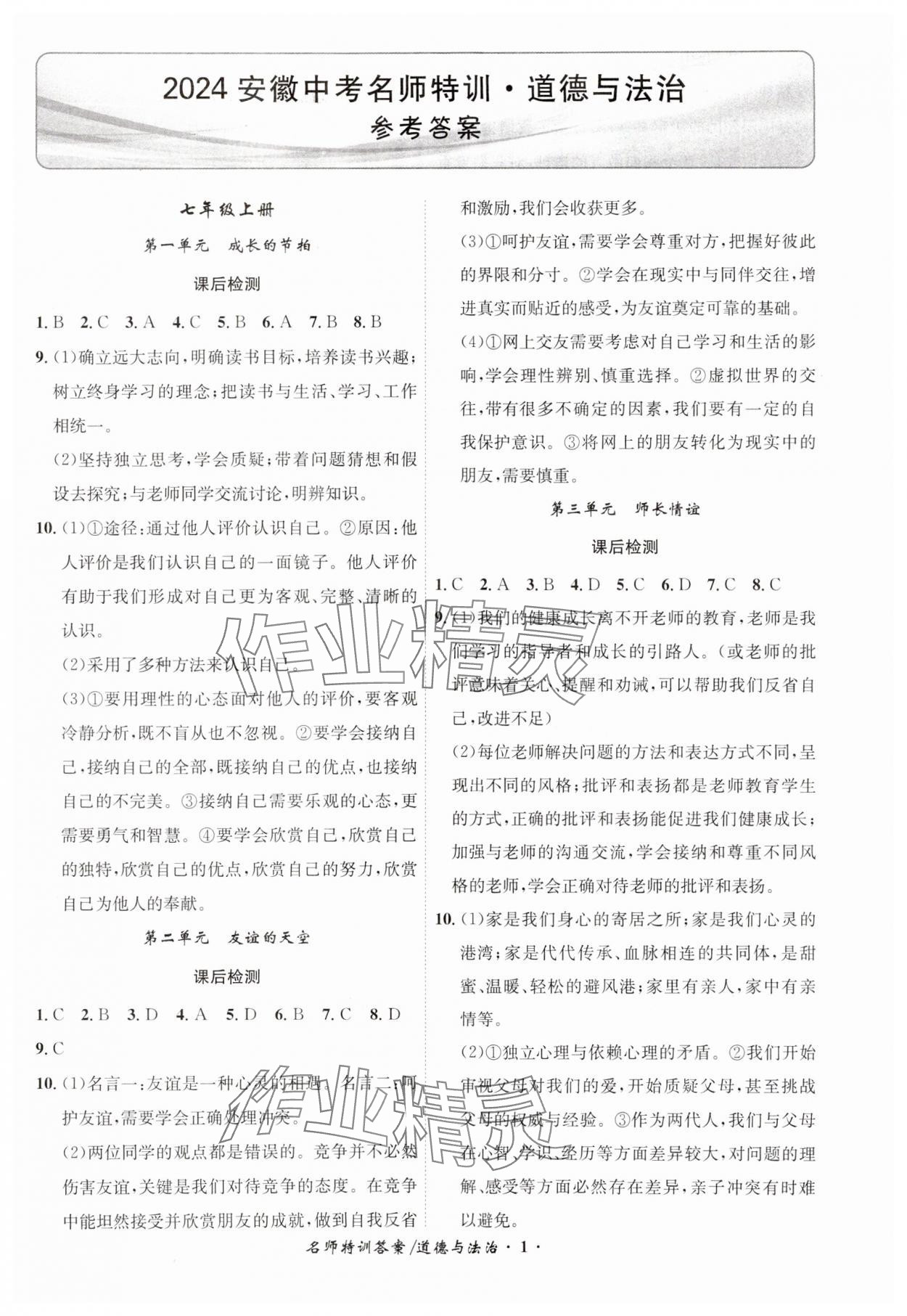 2024年名師特訓道德與法治安徽專版 第1頁
