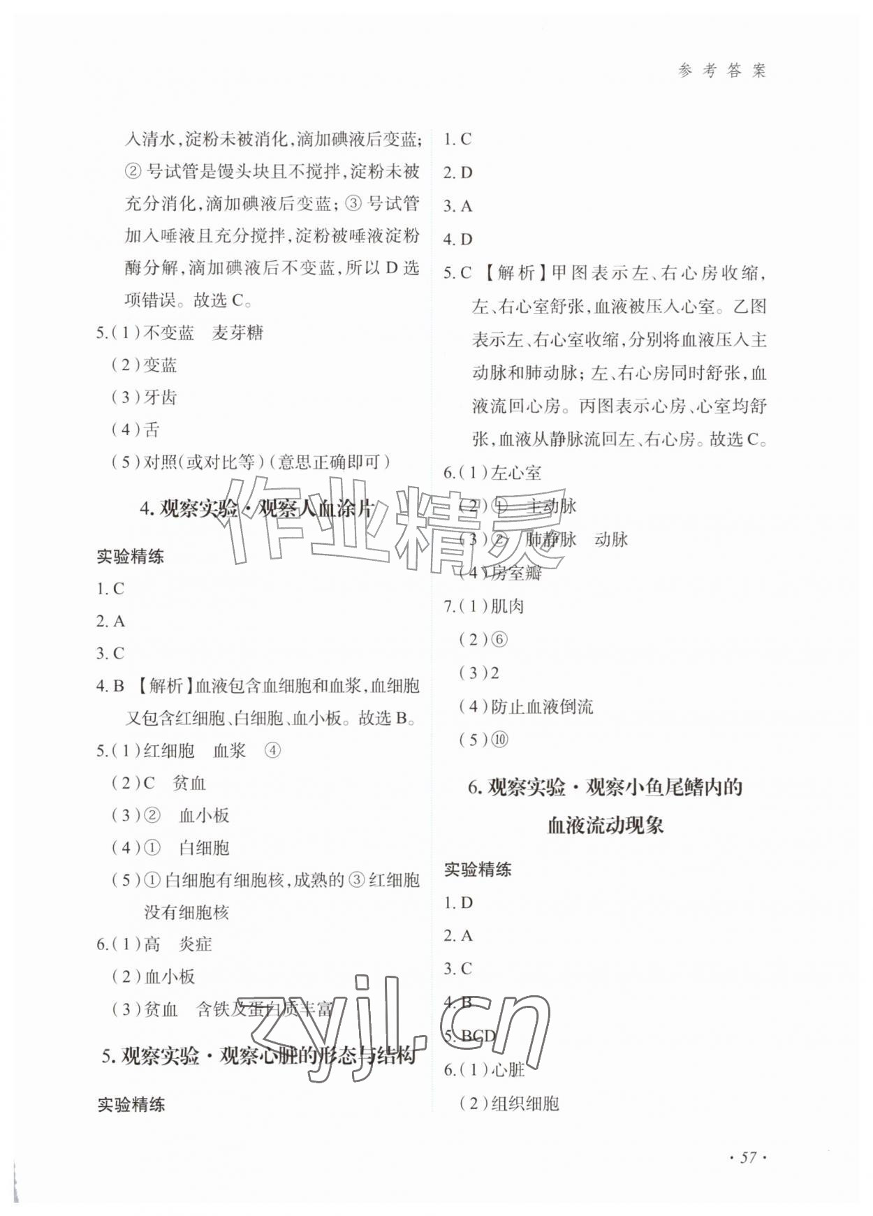 2026年实验报告册甘肃教育出版社八年级生物上册苏教版&nbsp;参考答案第2页