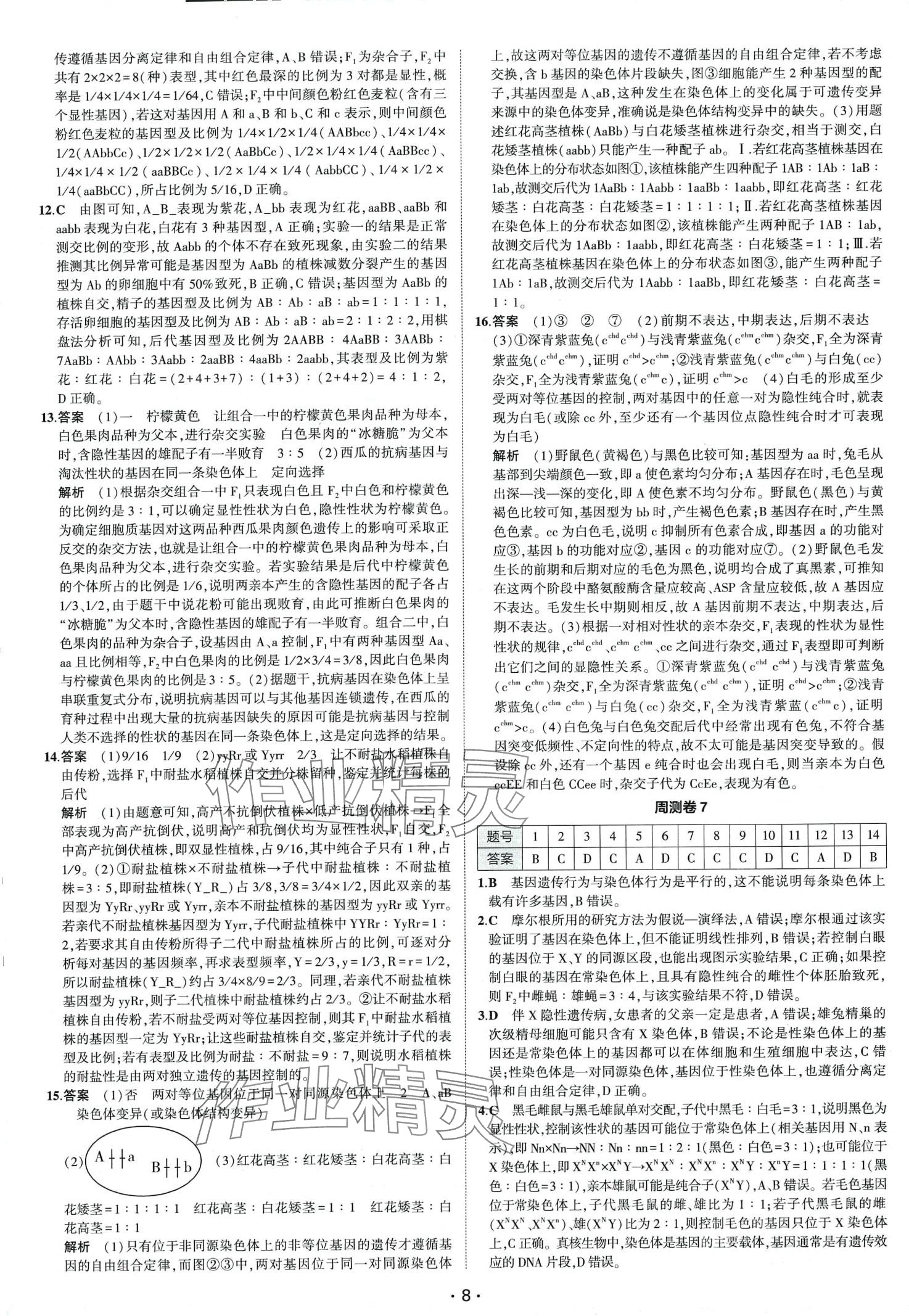 2024年高考總復習高考全程通關卷高中生物通用版 第10頁