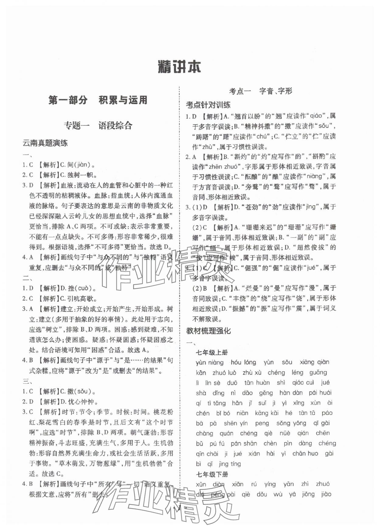 2025年本土攻略精準復習方案語文云南專版 參考答案第1頁