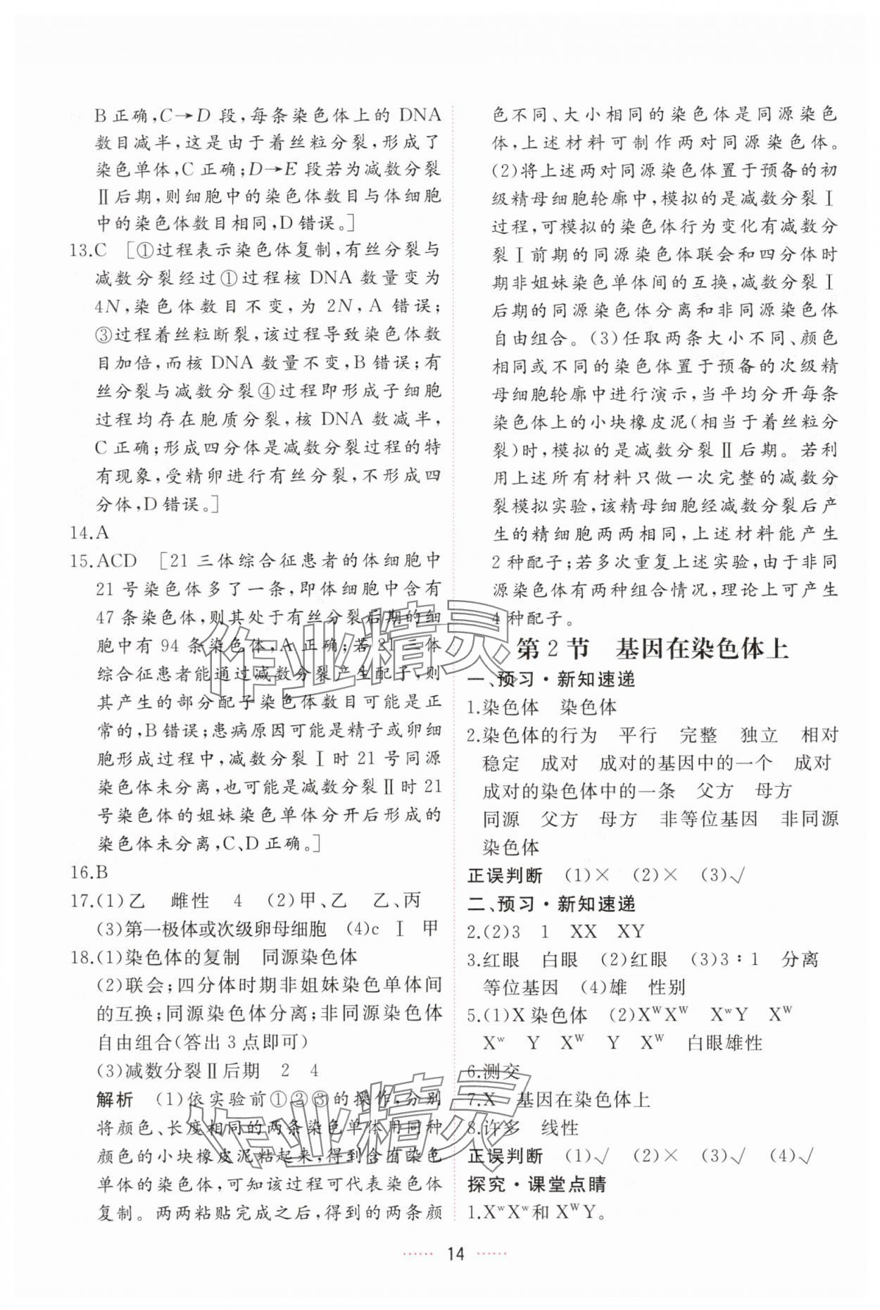 2025年三維隨堂精練高中生物必修2人教版 第14頁