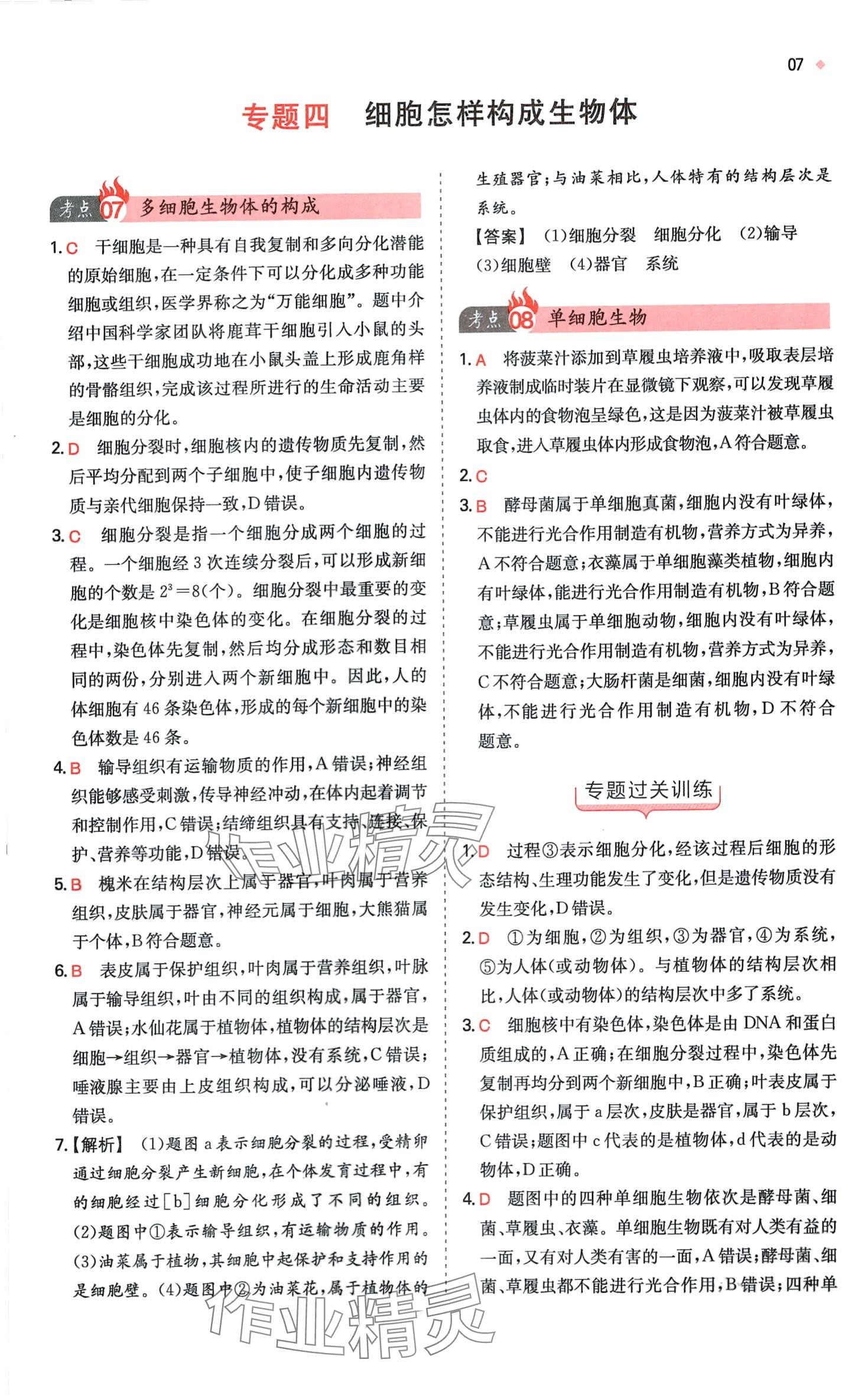 2024年一本中考训练方案生物&nbsp;第9页