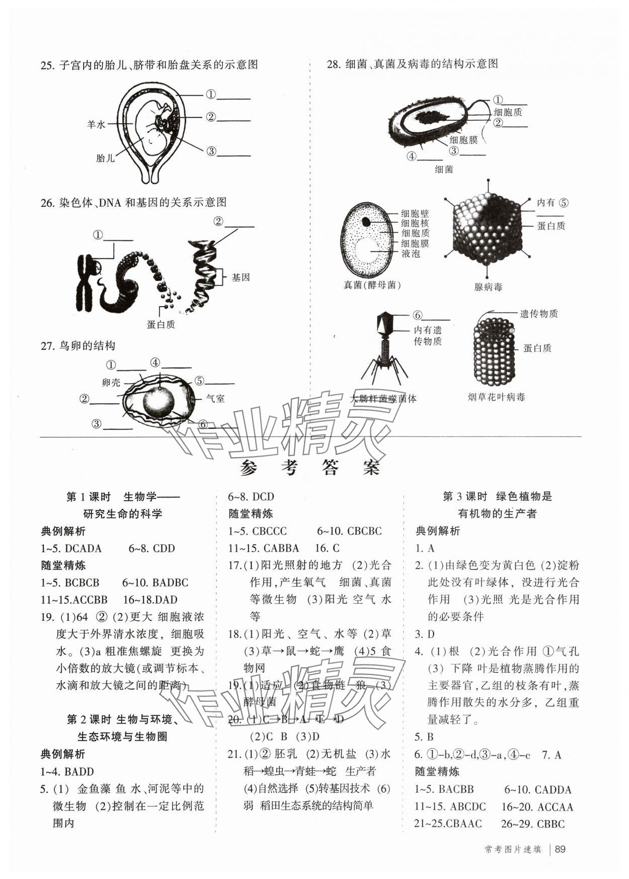 2024年冲刺中考全解生物徐州专版 第1页