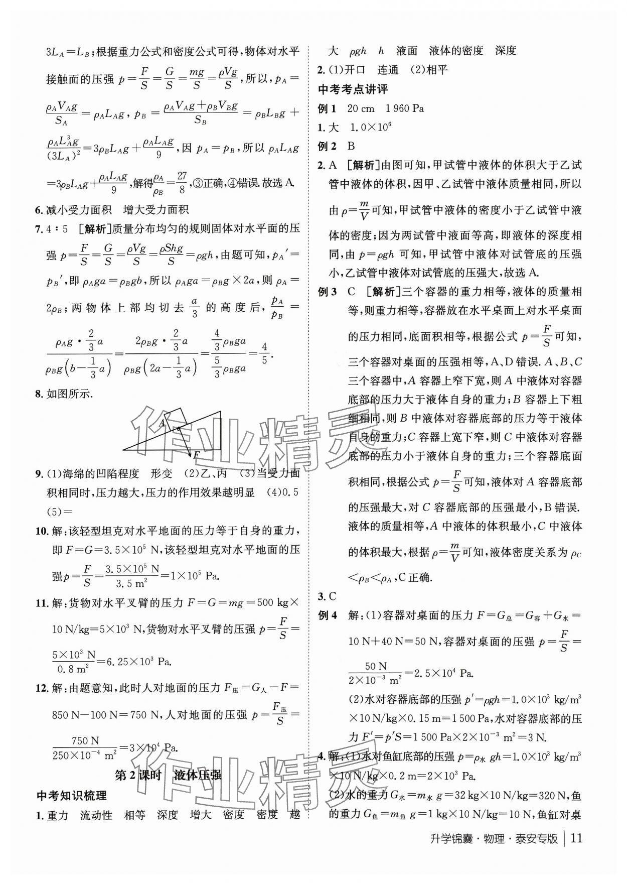 2024年升学锦囊物理泰安专版 第11页