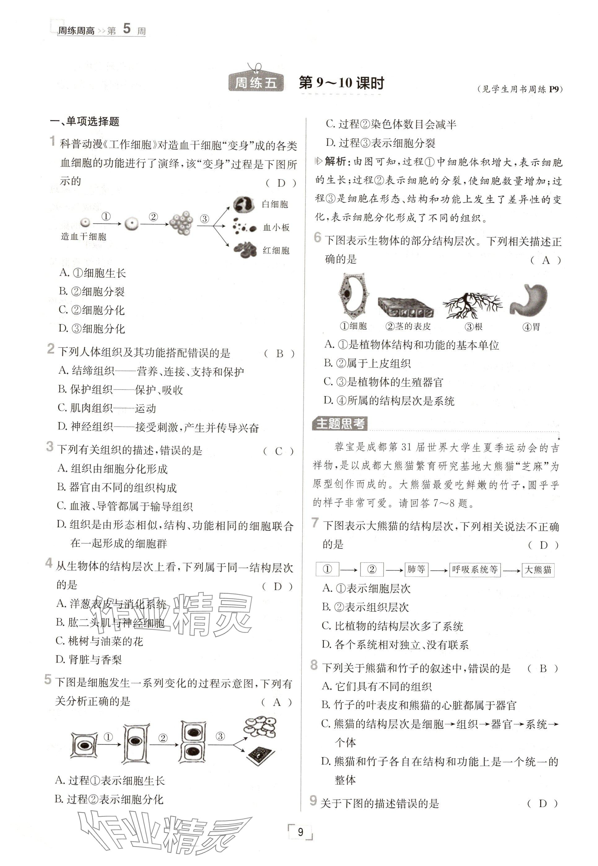 2024年日清周練七年級生物上冊人教版 參考答案第9頁