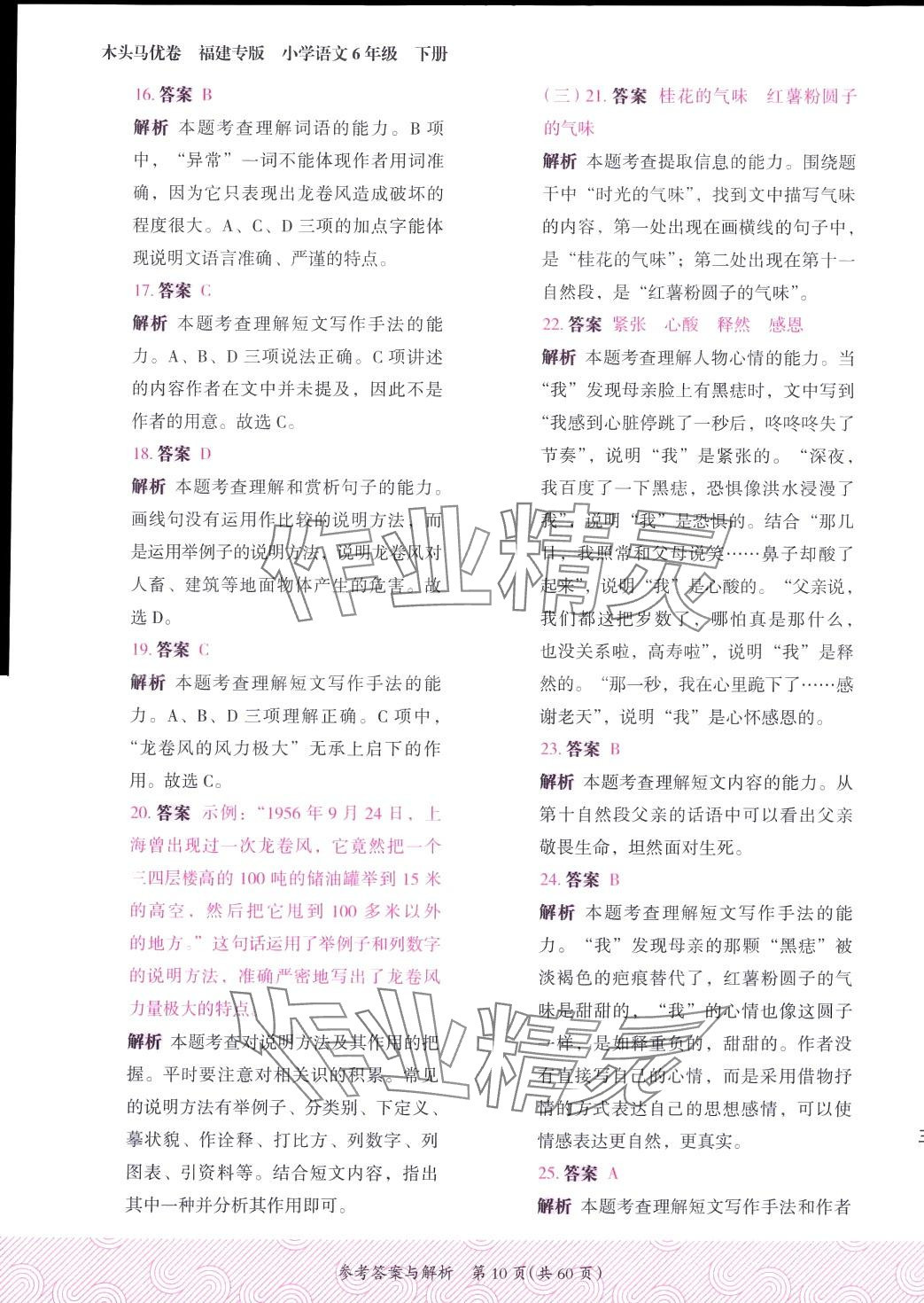 2024年木頭馬優(yōu)卷六年級(jí)語文下冊(cè)人教版福建專版 第10頁