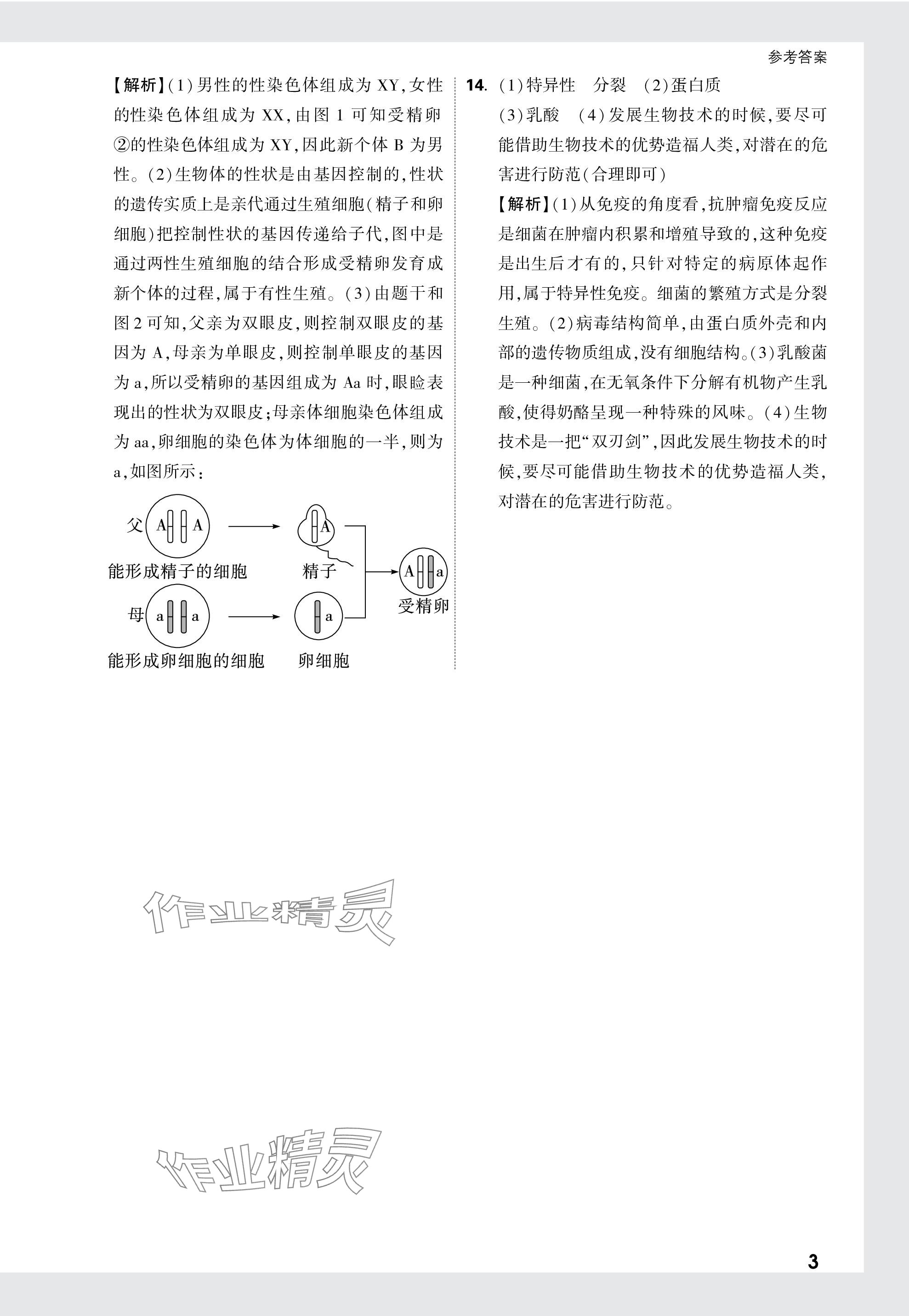 2024年萬唯中考原創(chuàng)預(yù)測卷生物安徽專版 參考答案第3頁