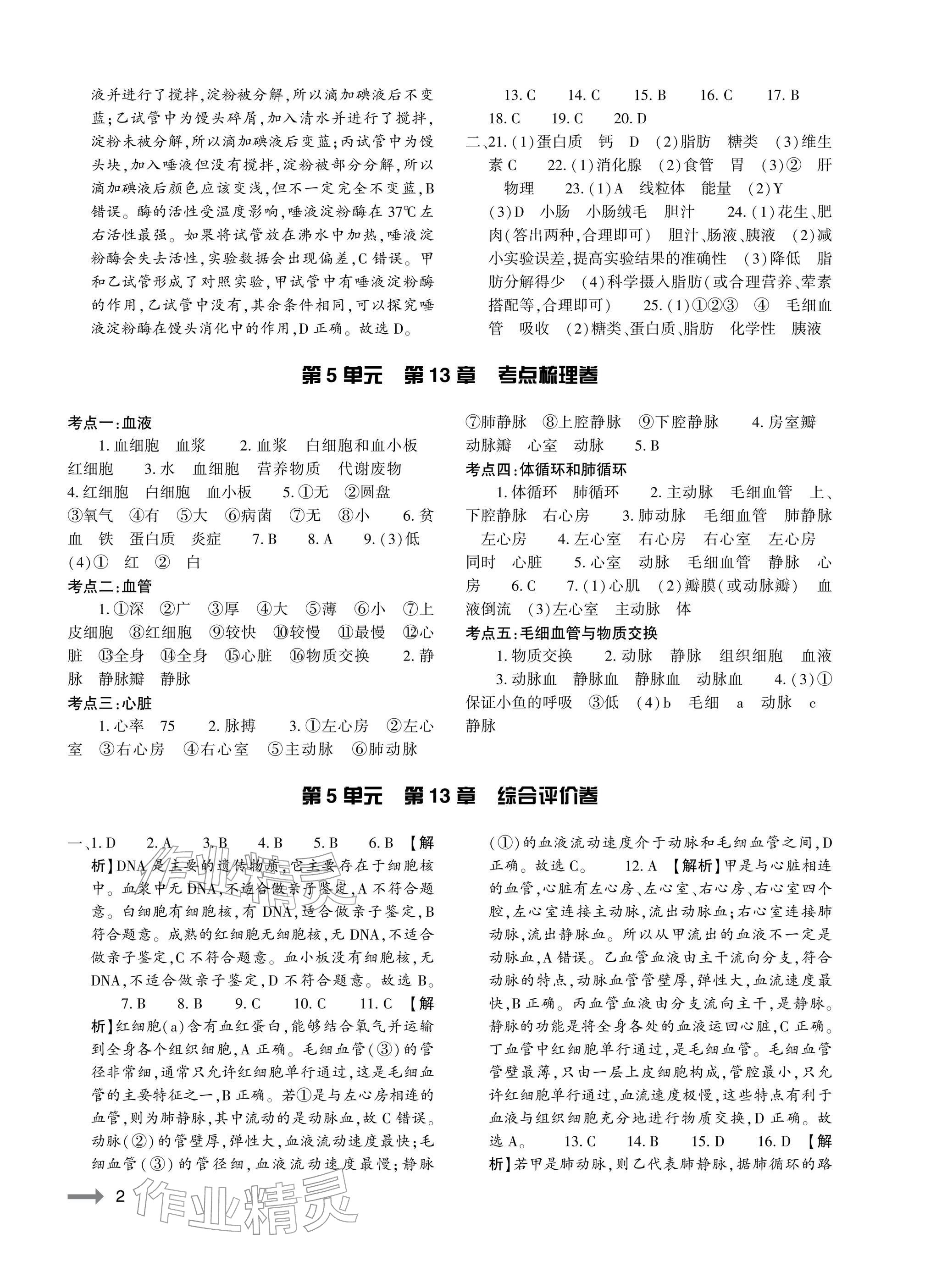 2025年节节高大象出版社八年级生物全一册苏教版 参考答案第2页