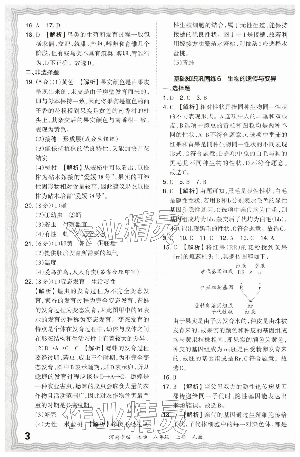 2024年王朝霞各地期末试卷精选八年级生物上册人教版河南专版 参考答案第3页