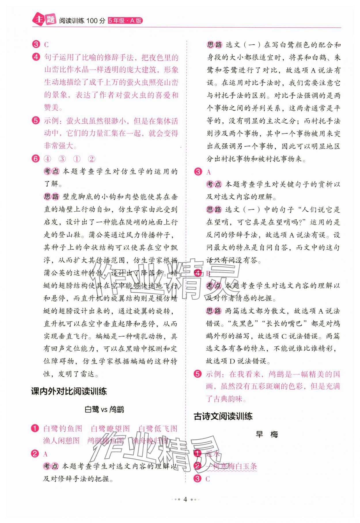 2024年主題閱讀訓(xùn)練100分五年級語文人教版浙江專版 參考答案第4頁