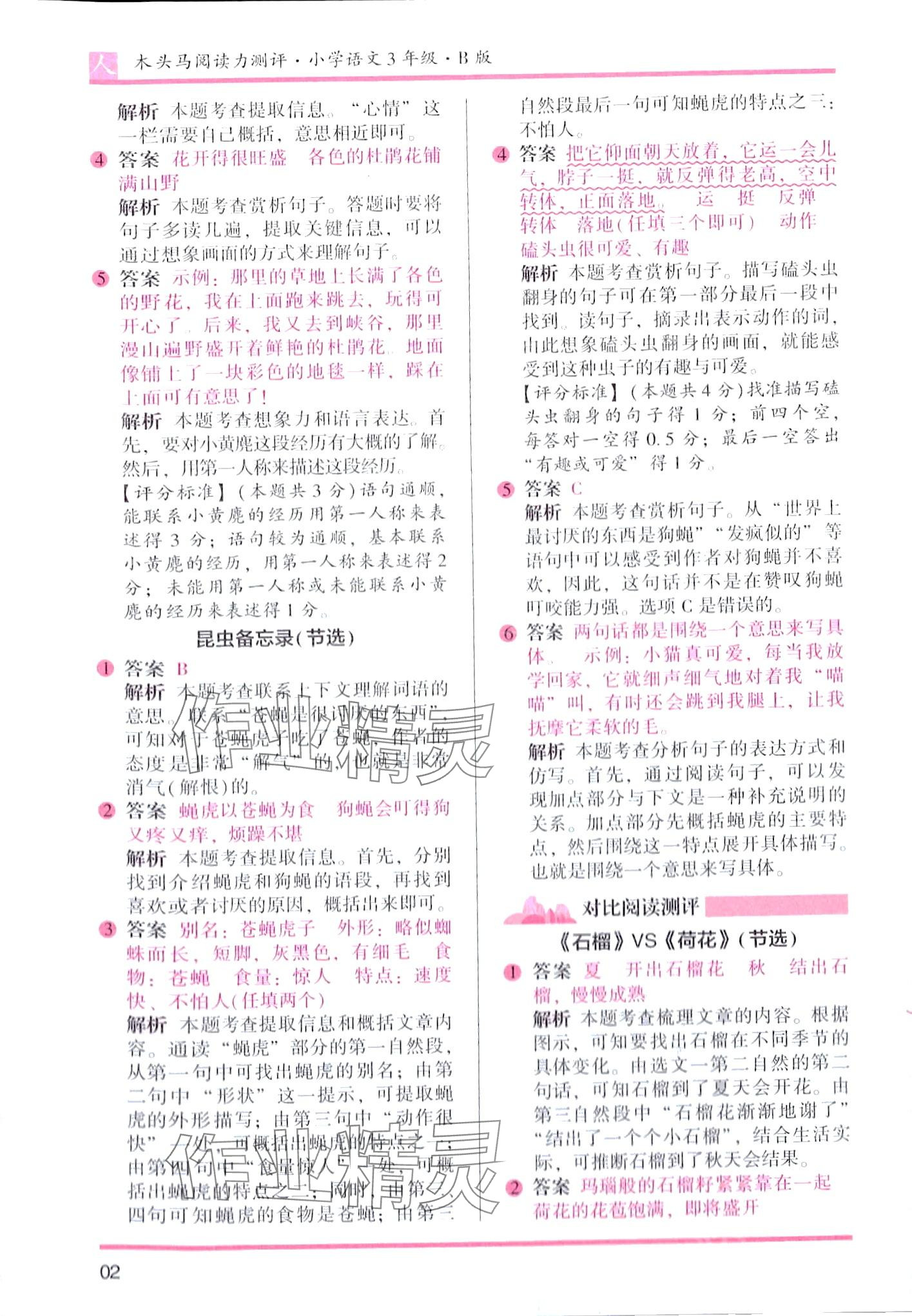 2024年木头马阅读力测评三年级语文人教版B版 第2页