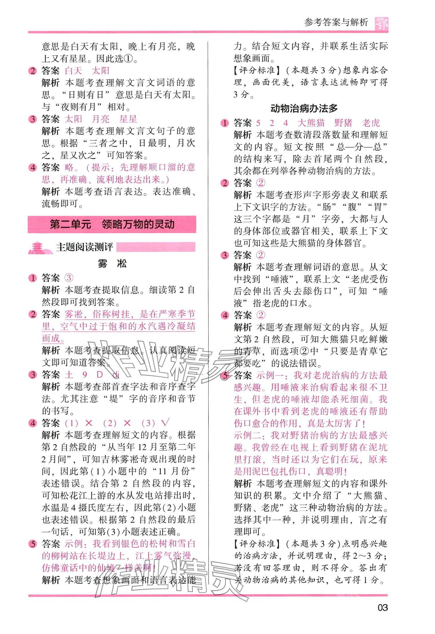 2024年木頭馬閱讀力測(cè)評(píng)二年級(jí)語(yǔ)文全一冊(cè)人教版A版武漢專版 第3頁(yè)