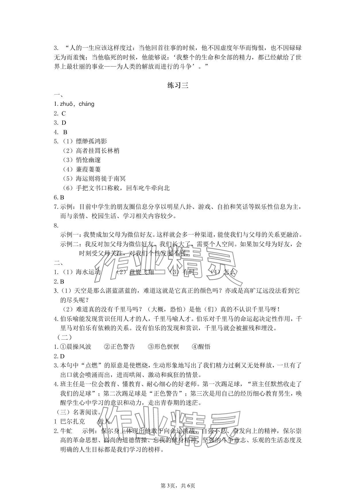 2025年鹏教图书精彩假期暑假篇八年级&nbsp;参考答案第3页