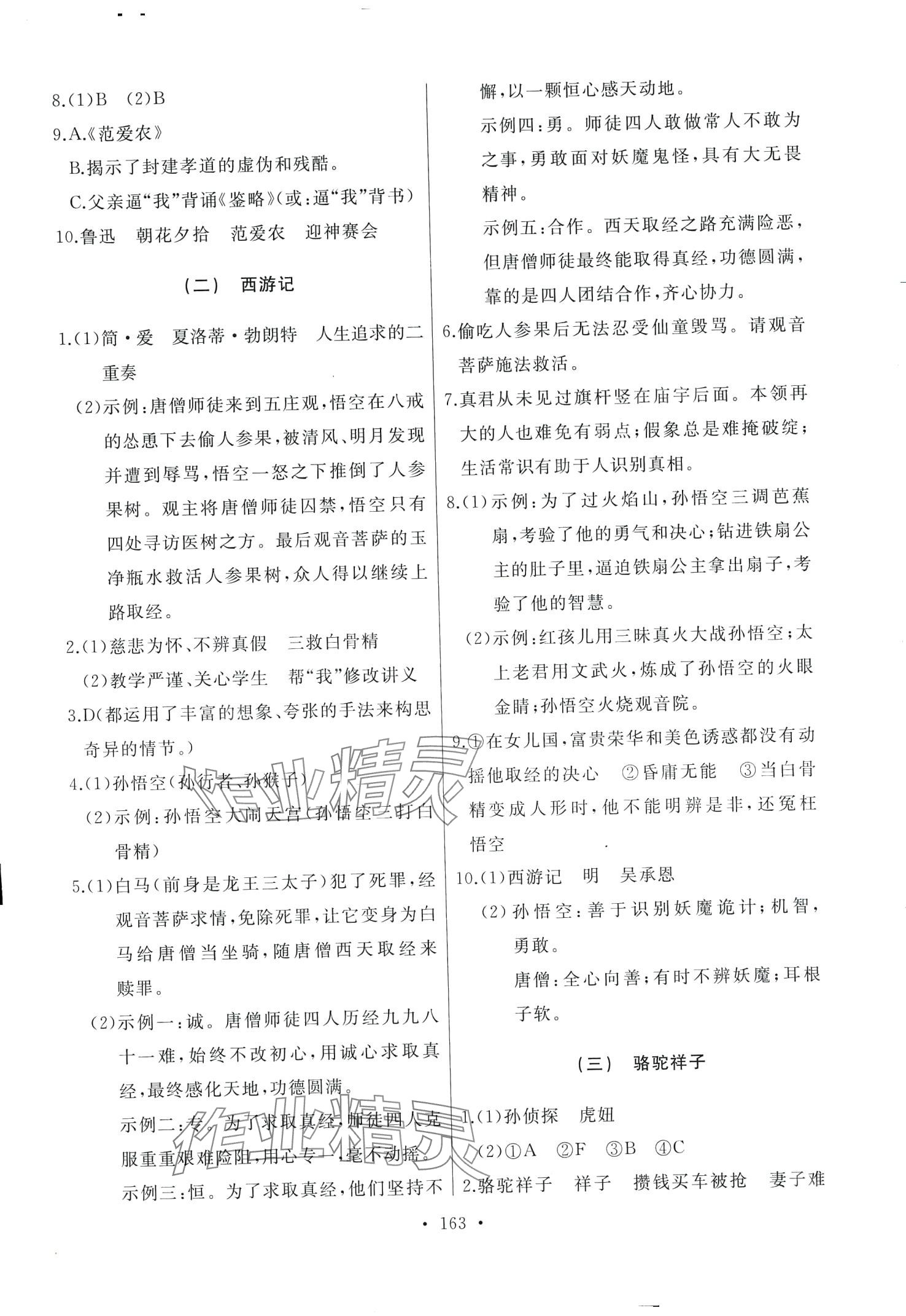 2024年诚成题库中考题型分类卷语文中考黑龙江专版&nbsp;第9页