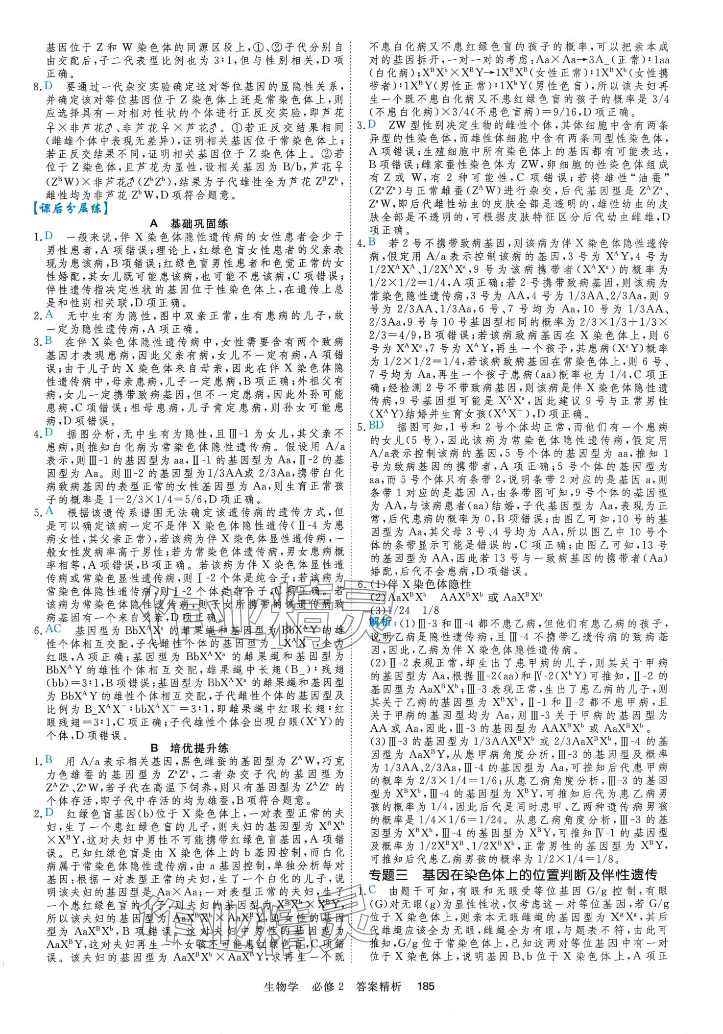 2024年課時(shí)周測(cè)月考高中生物（遺傳與進(jìn)化）必修2 第12頁(yè)