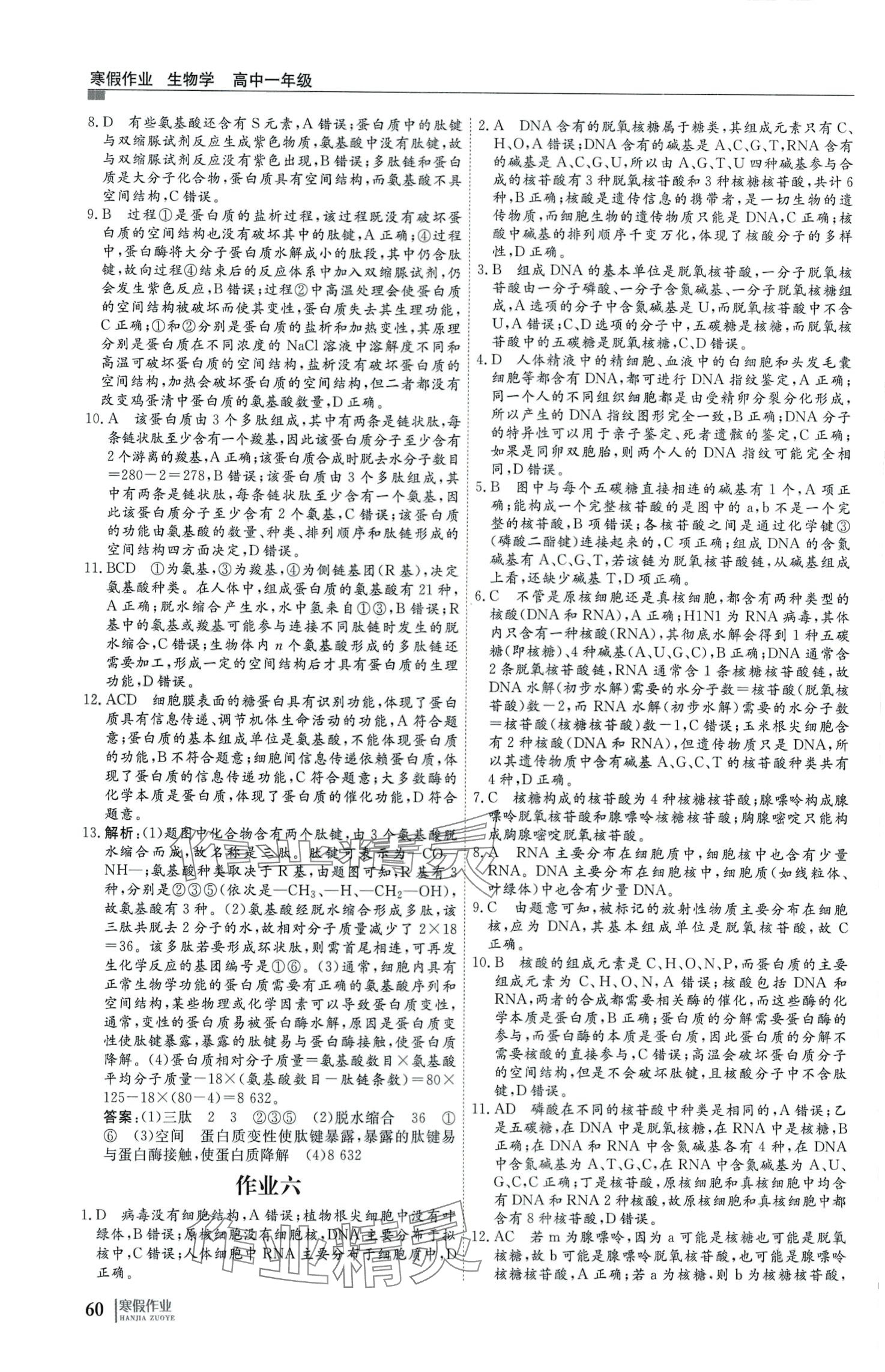 2024年自主学习假期刷题计划高一生物 第4页