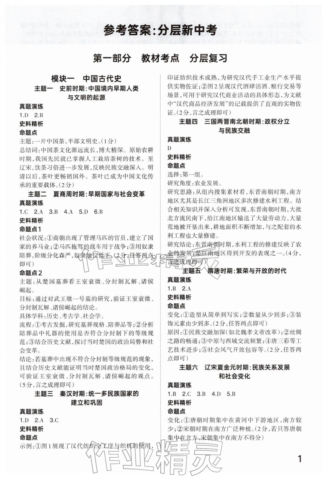 2026年分层新中考历史人教版河南专版&nbsp;参考答案第1页