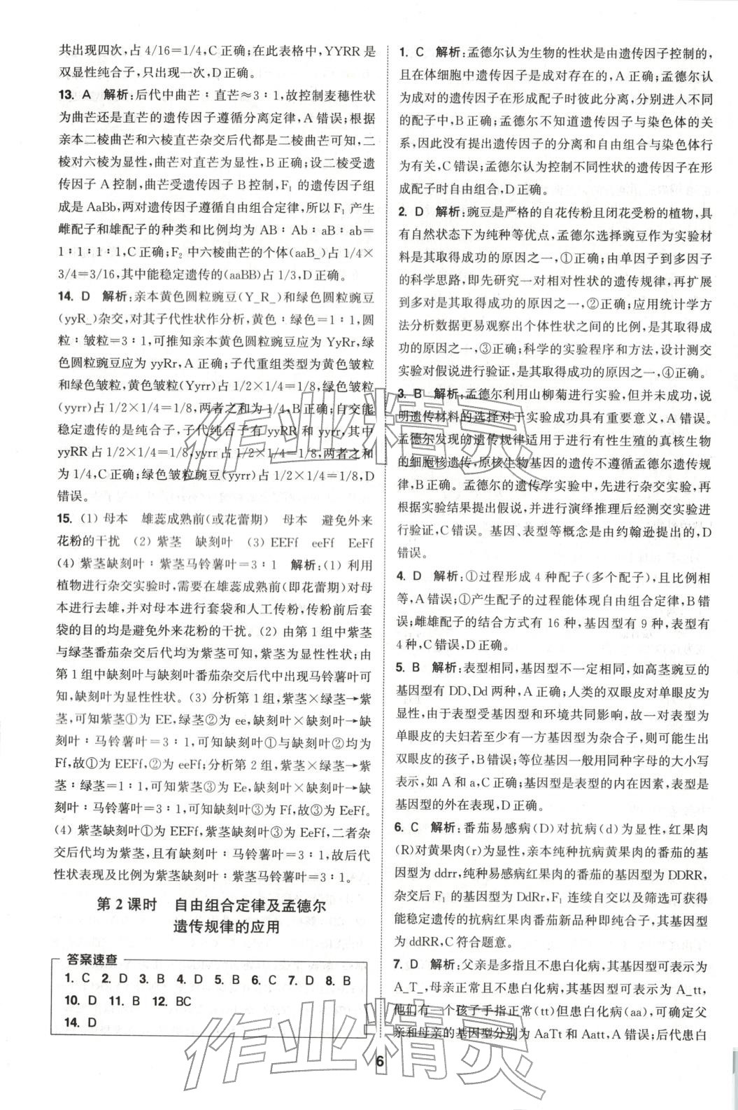 2025年通成学典课时作业本高中生物必修第二册人教版&nbsp;第6页