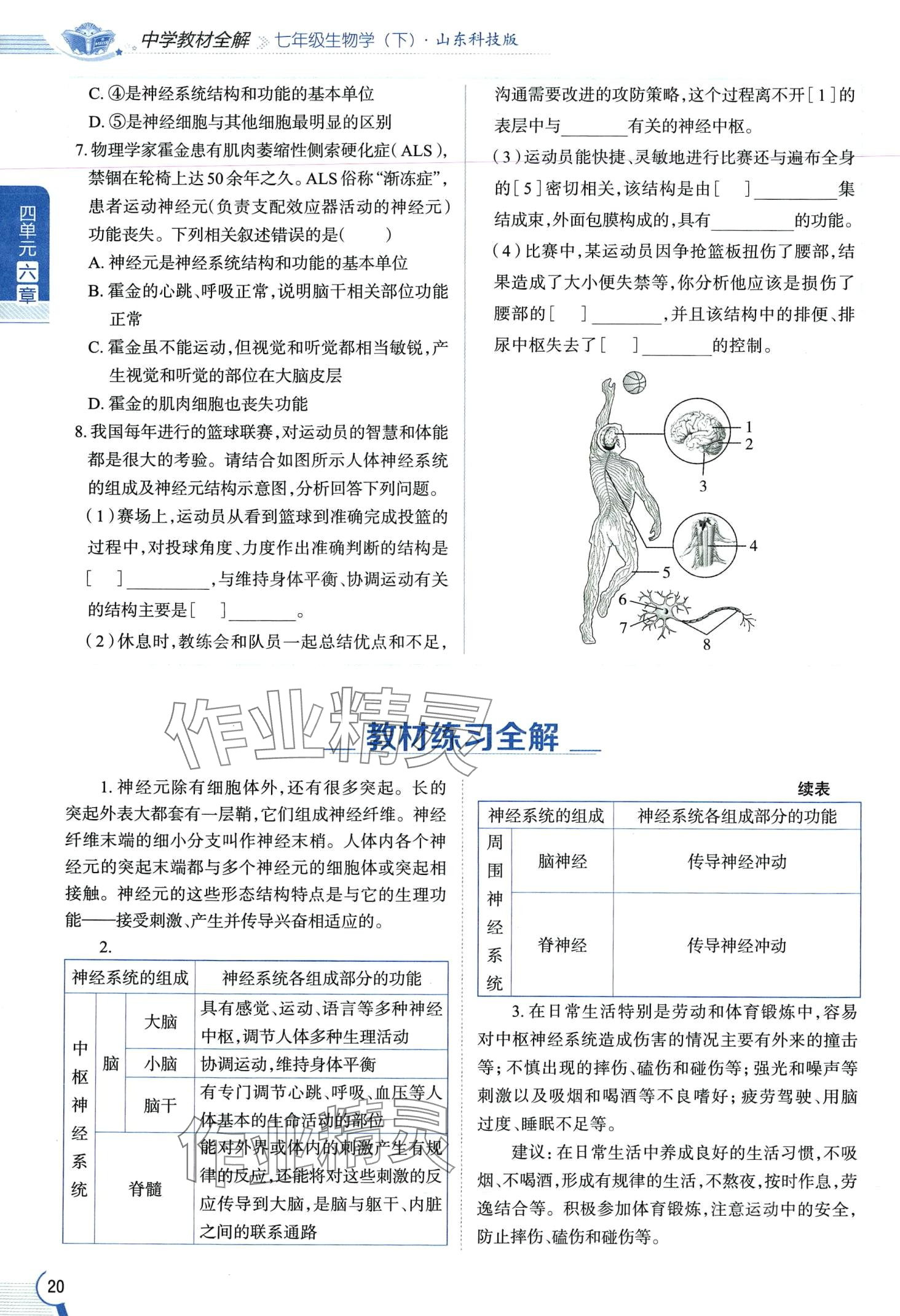 2024年教材课本七年级生物下册鲁科版&nbsp;第20页