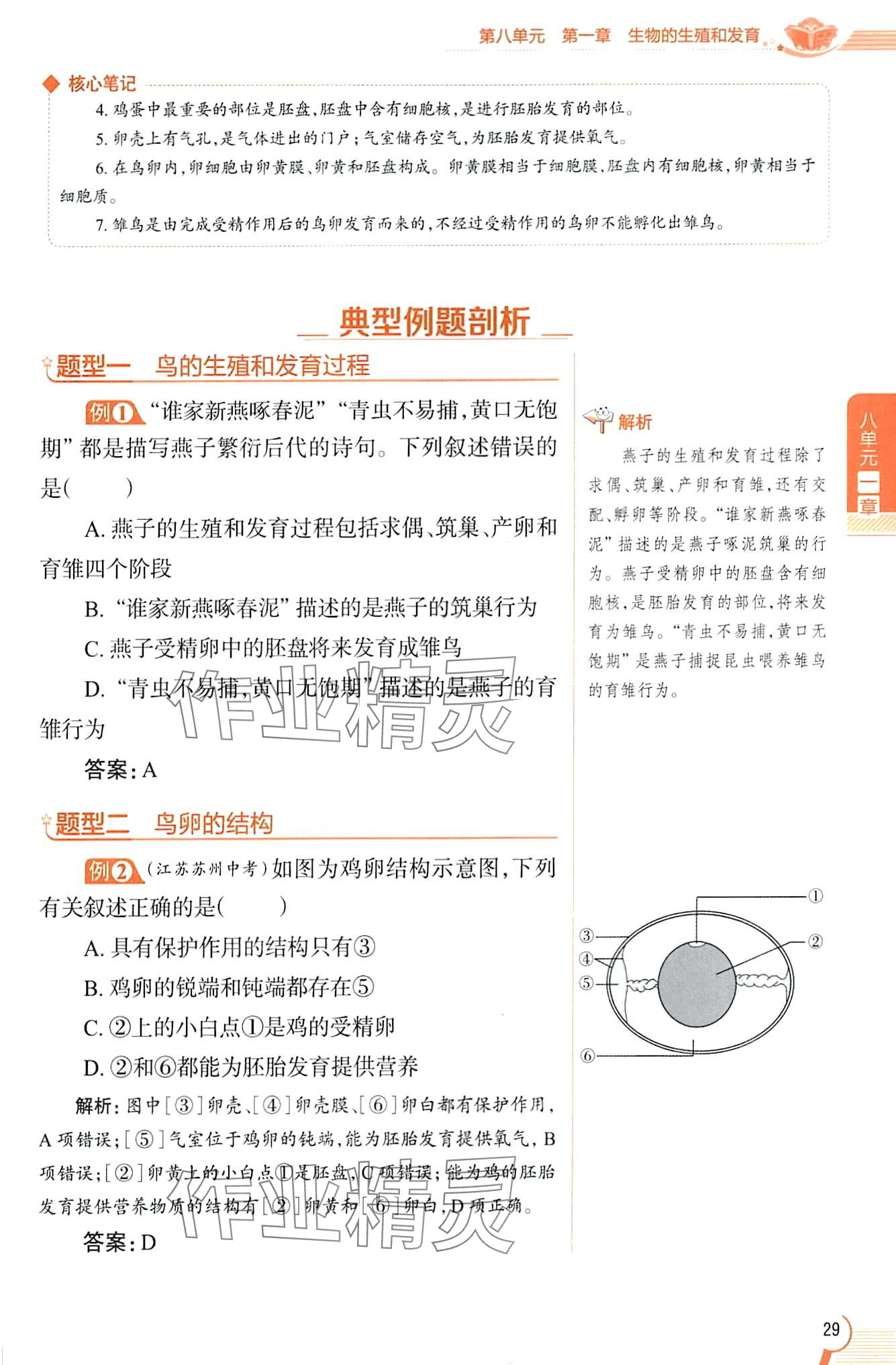 2024年教材課本八年級生物下冊魯科版五四制 第29頁