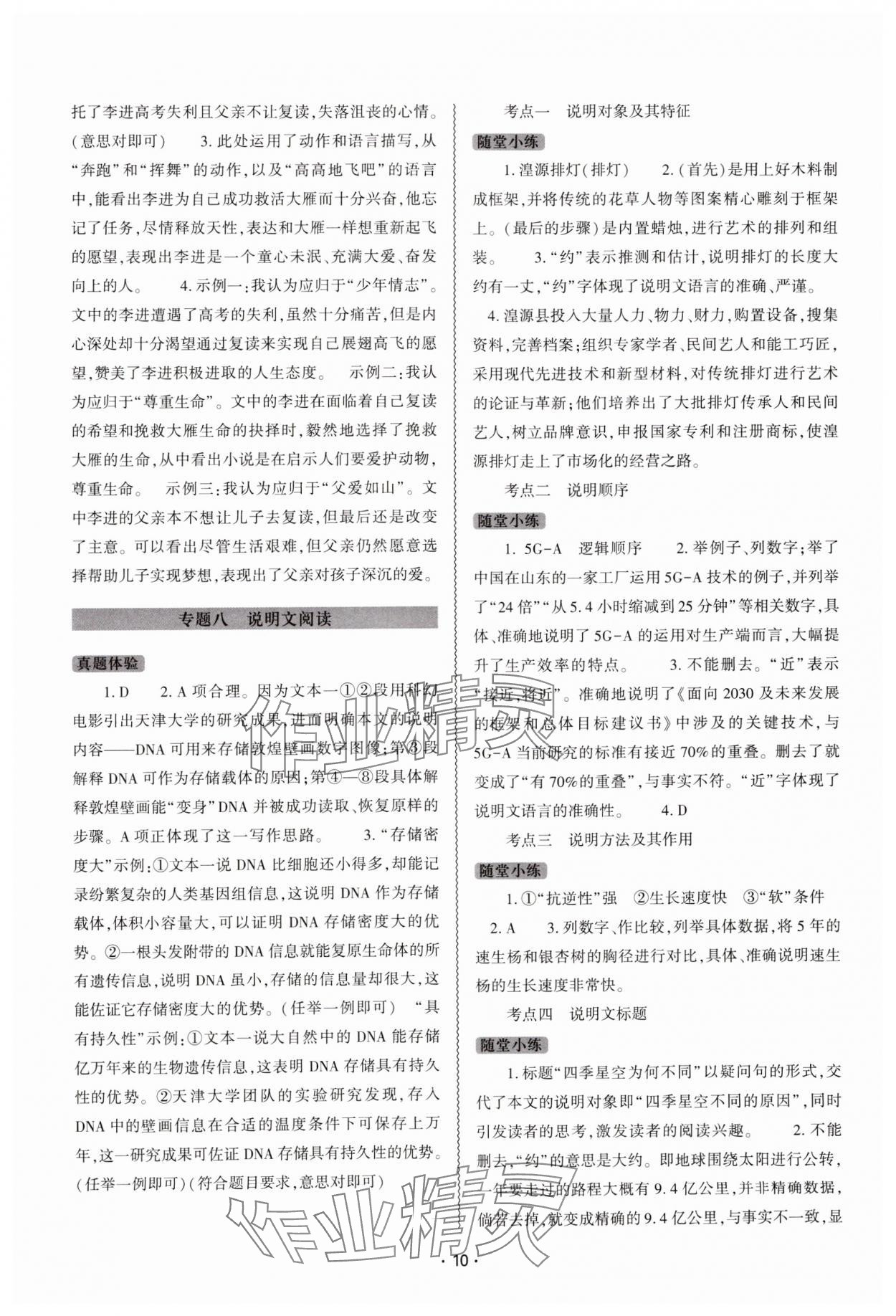 2025年中考復(fù)習精講與測試語文 第10頁