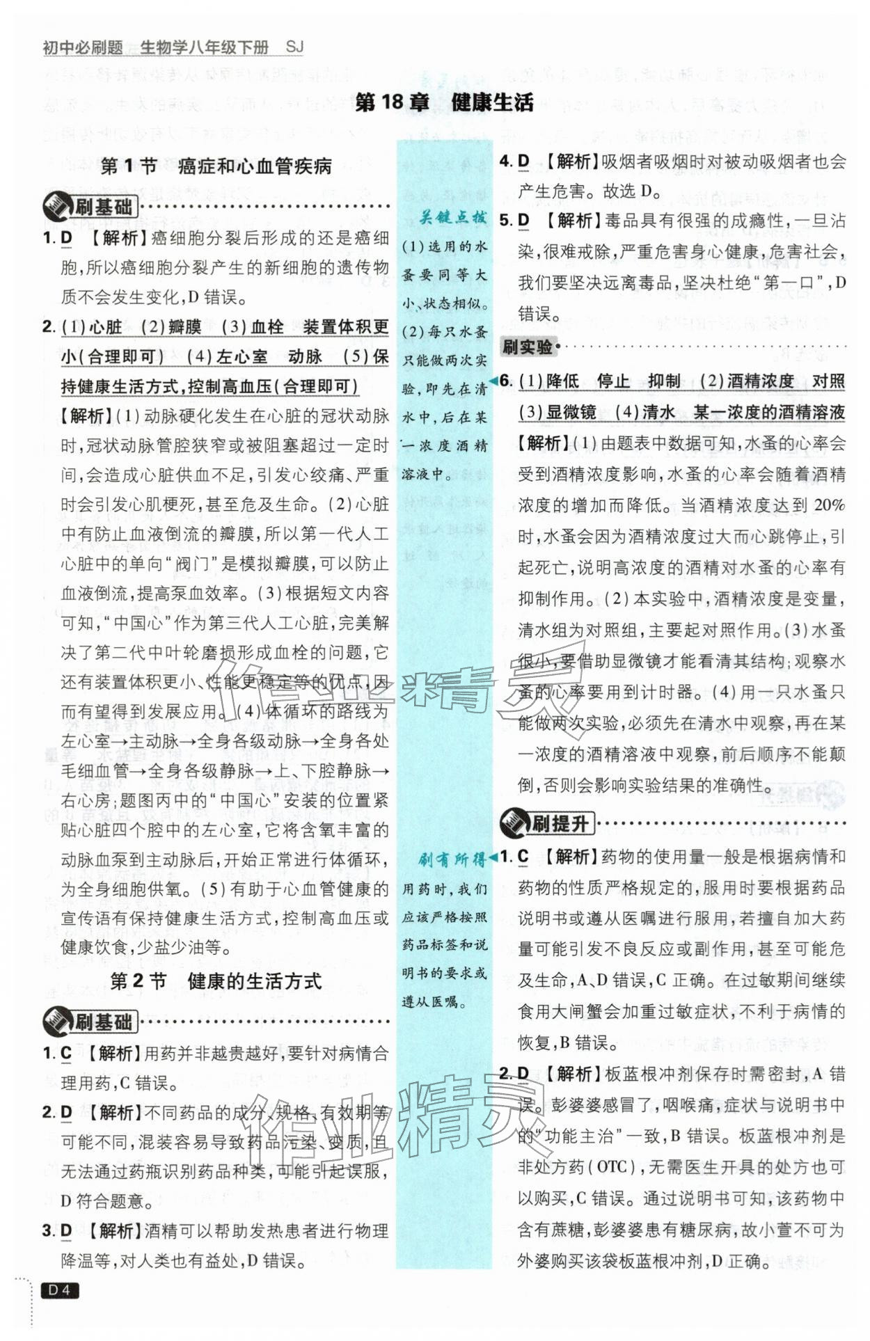 2026年初中必刷题八年级生物下册苏教版&nbsp;第4页