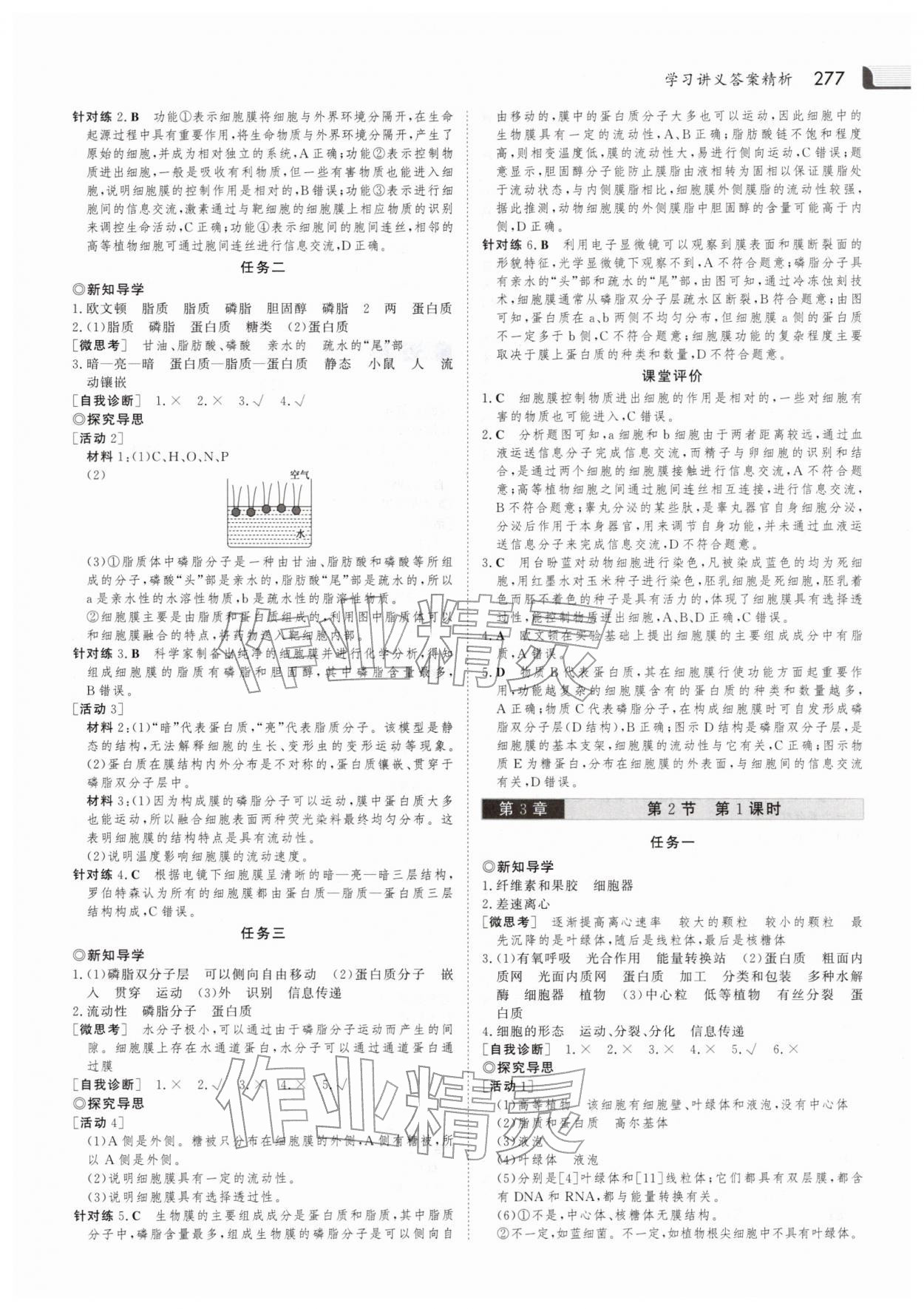 2025年金版新学案高中生物必修1人教版 参考答案第8页